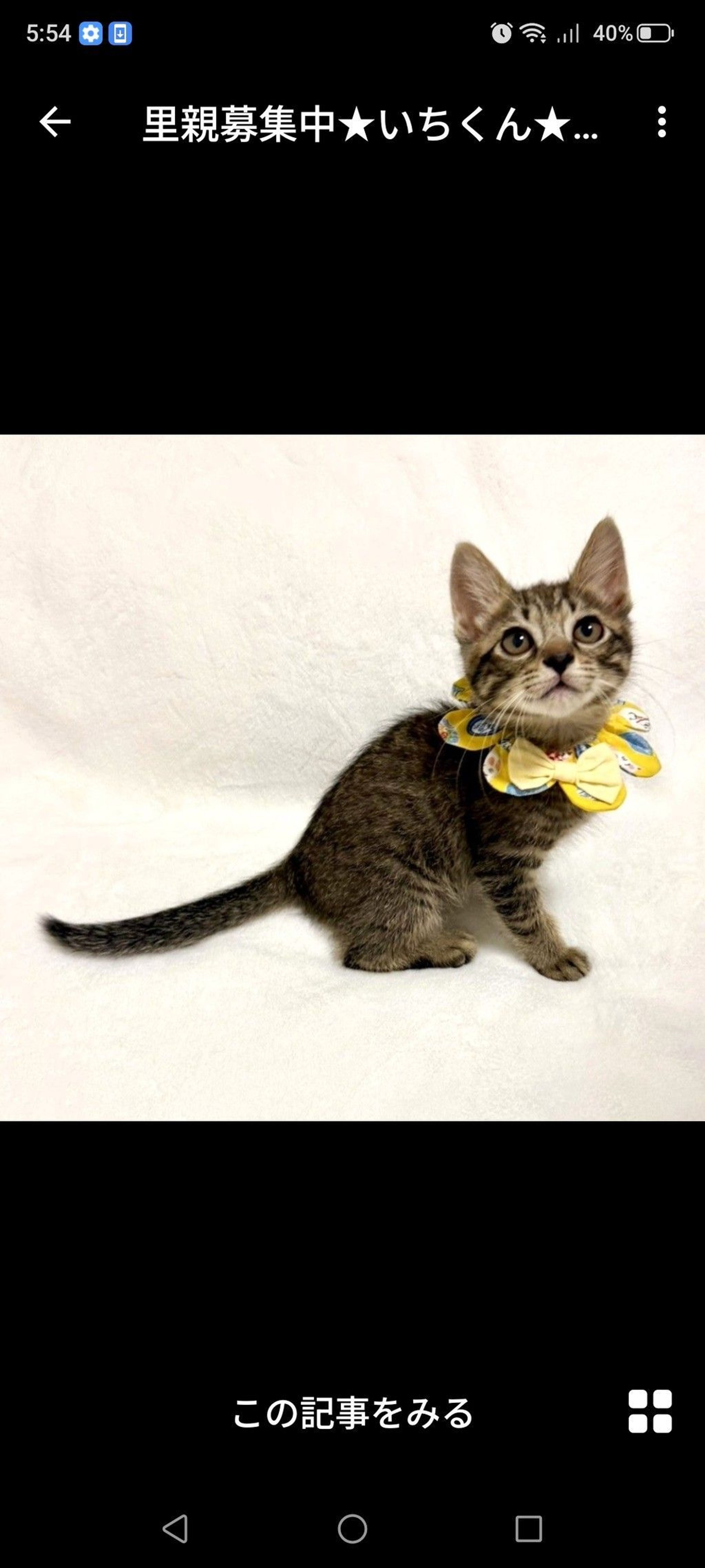 pet-image-2