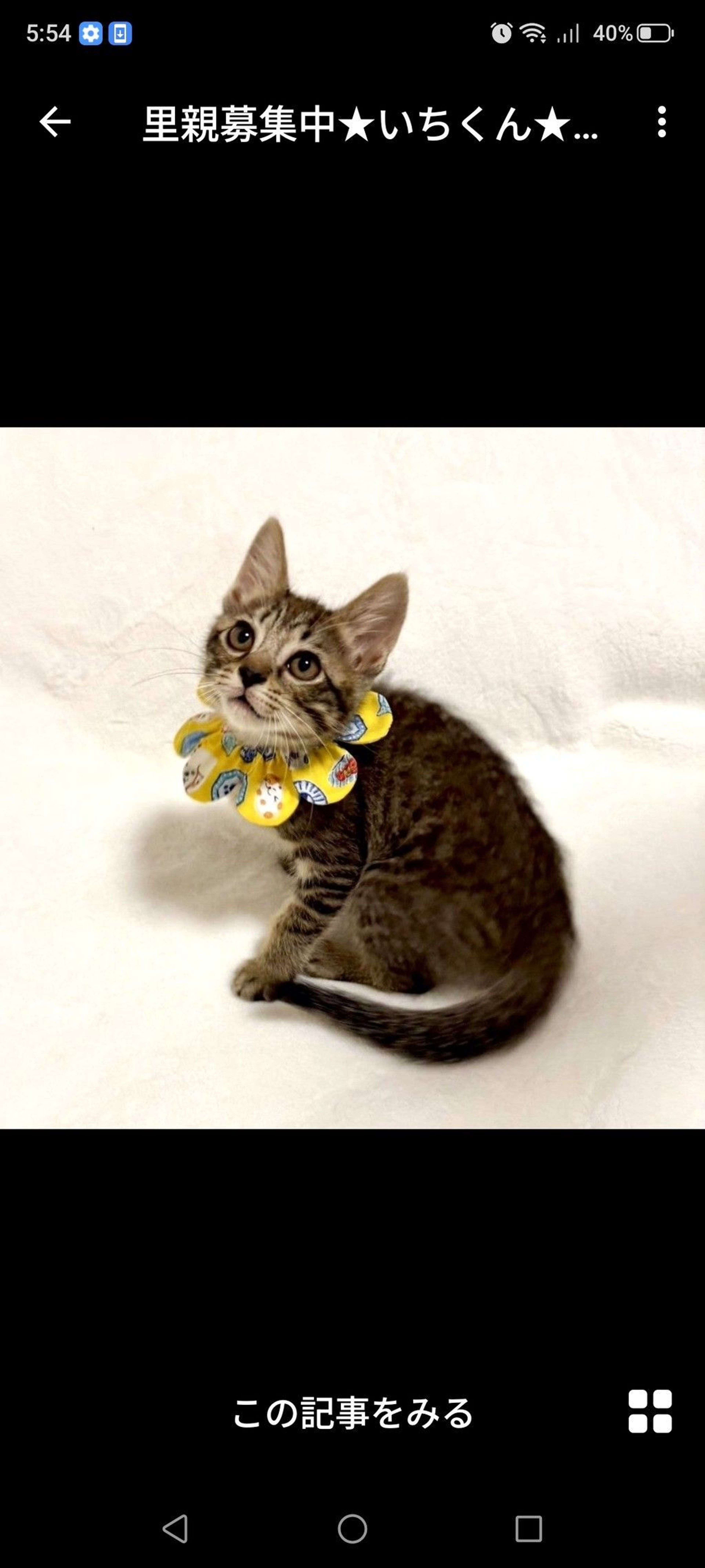 pet-image-3