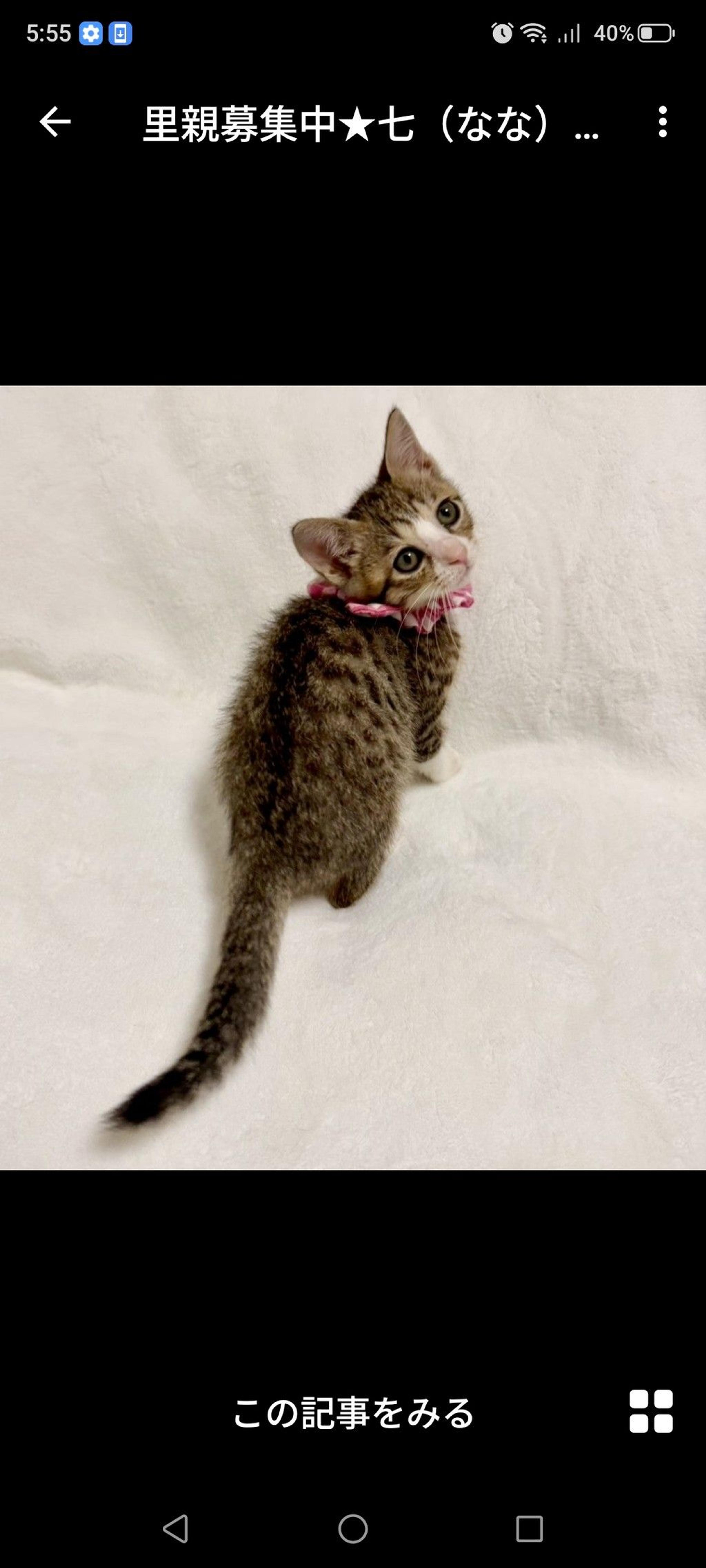 pet-image-2