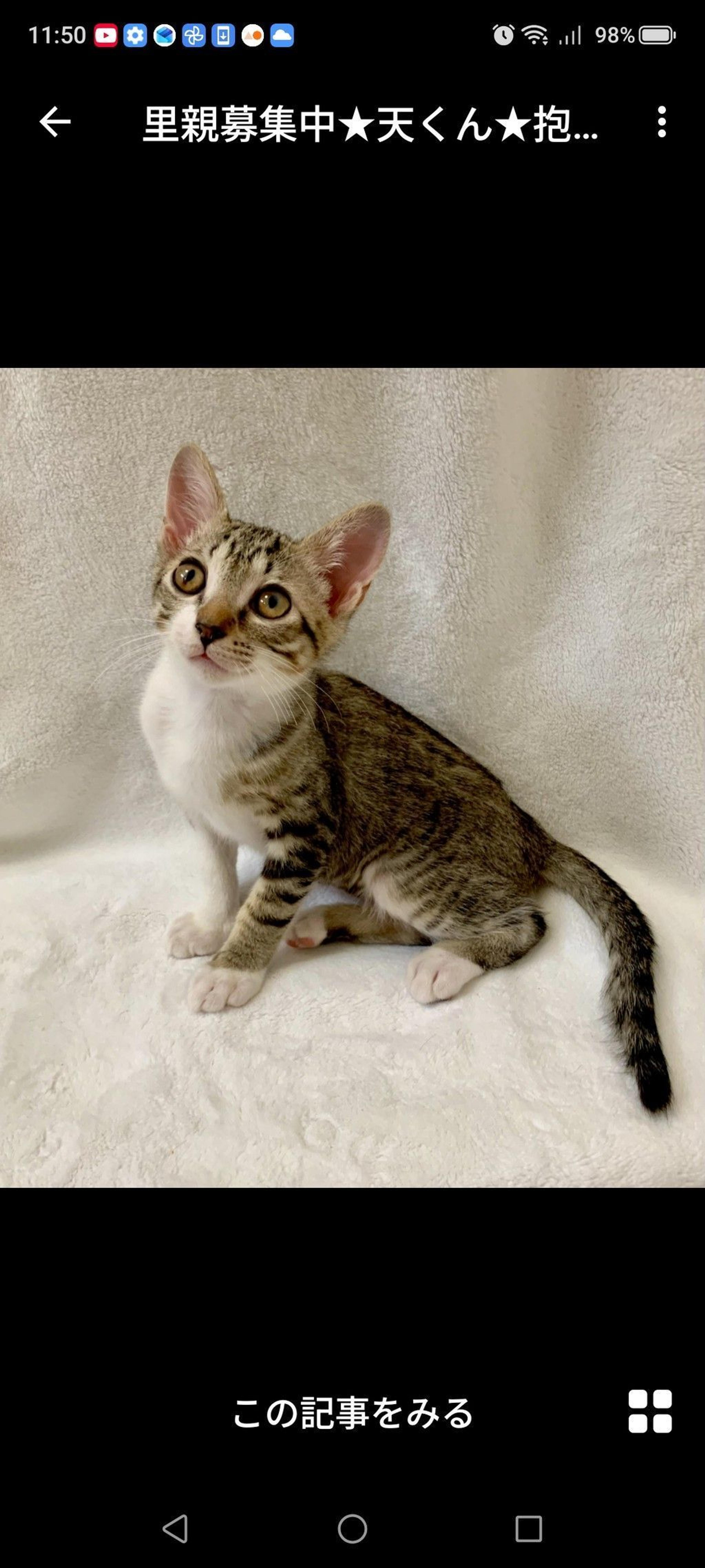 pet-image-2