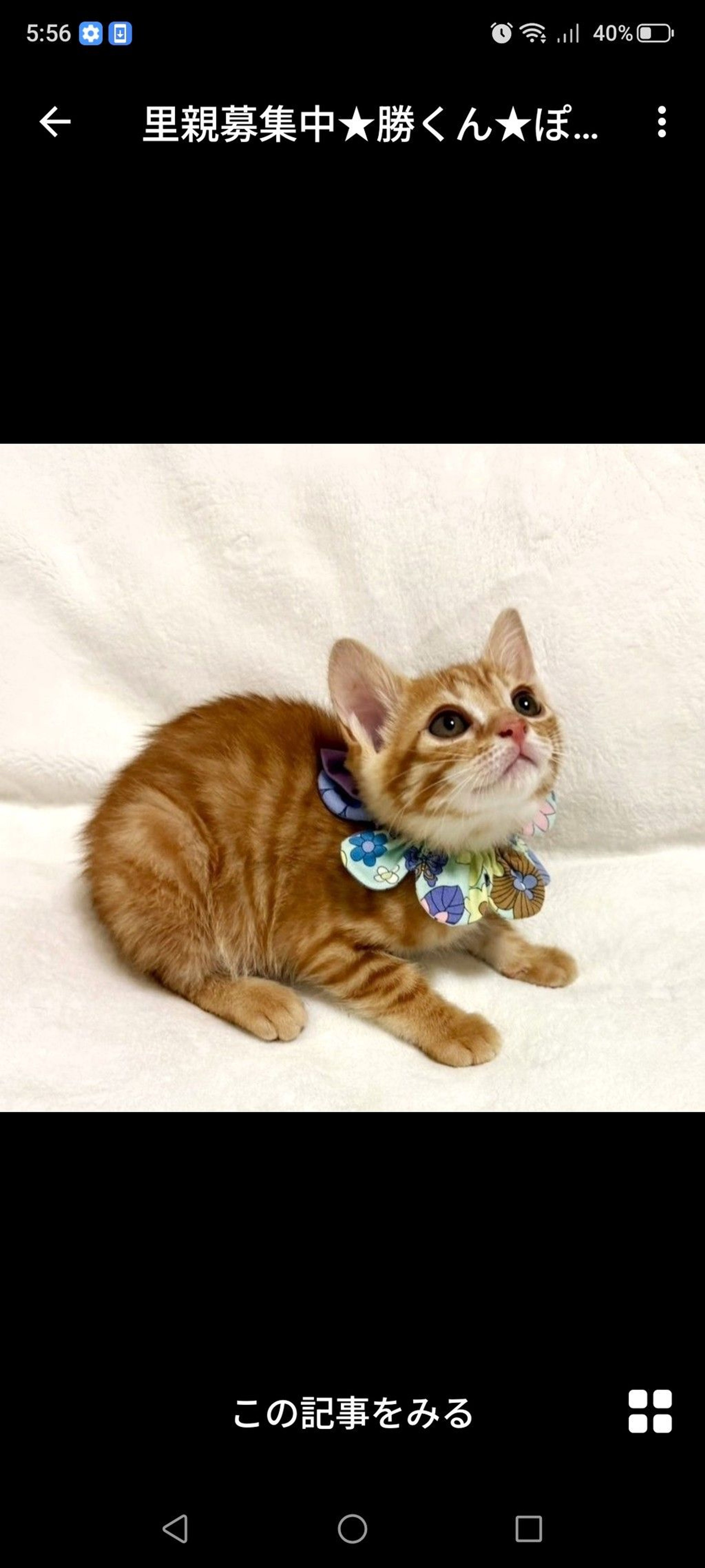pet-image-2