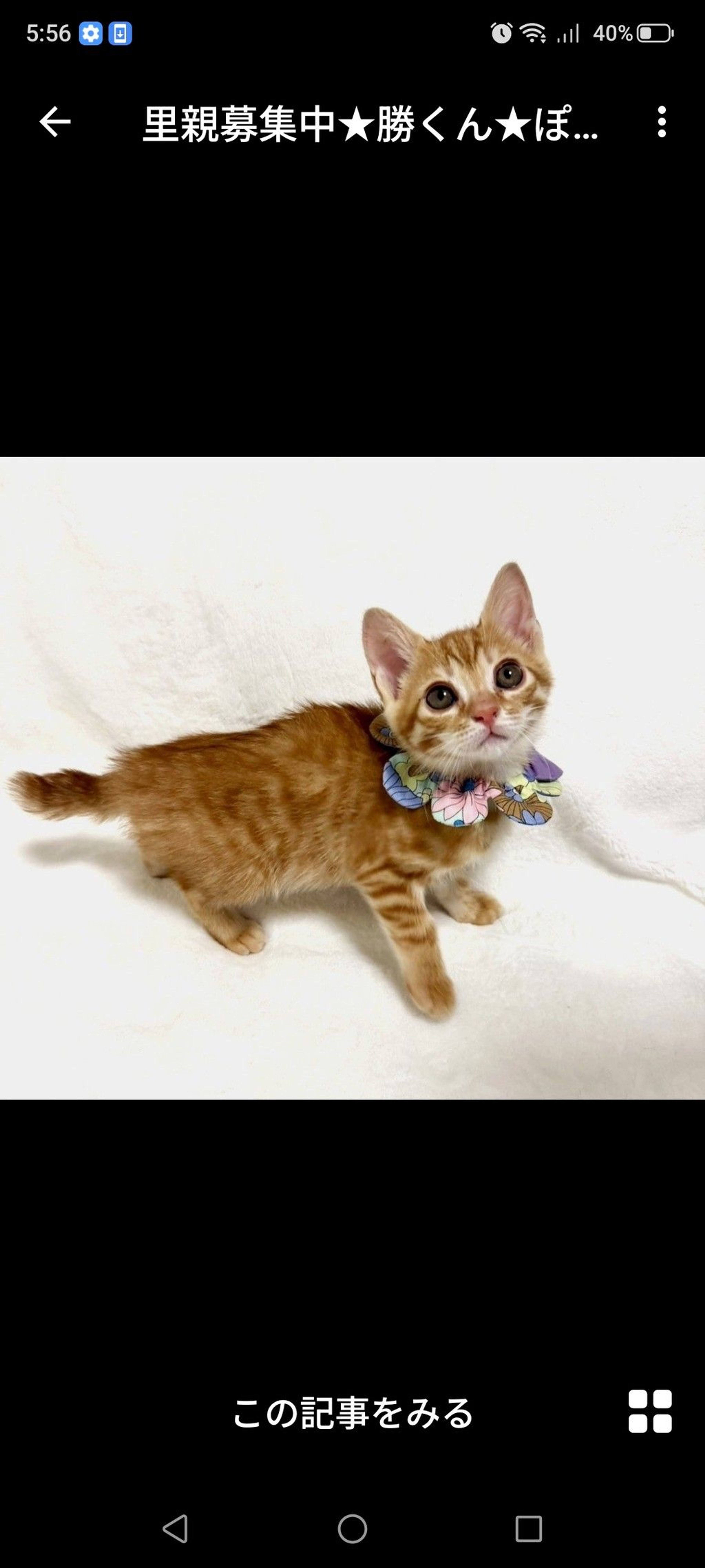 pet-image-3