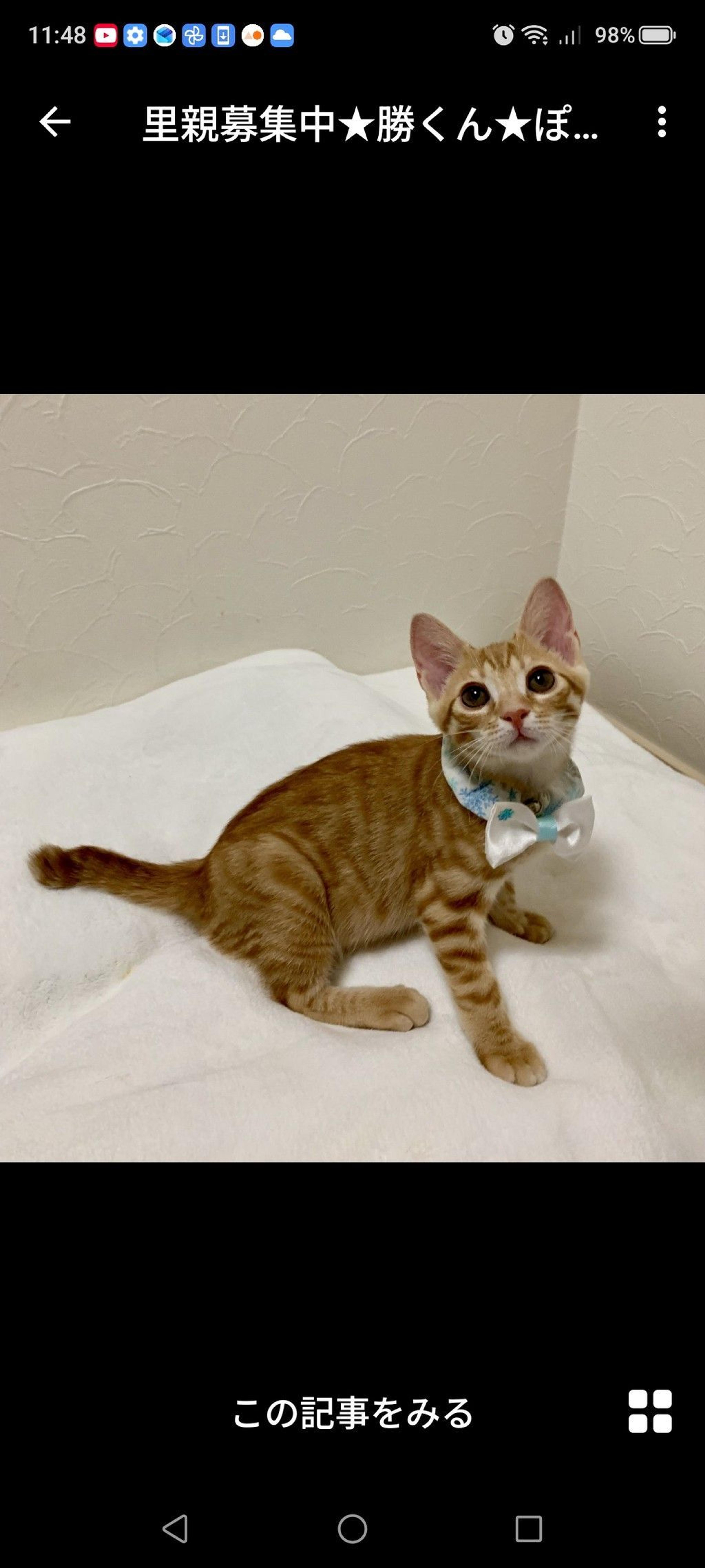 pet-image-2