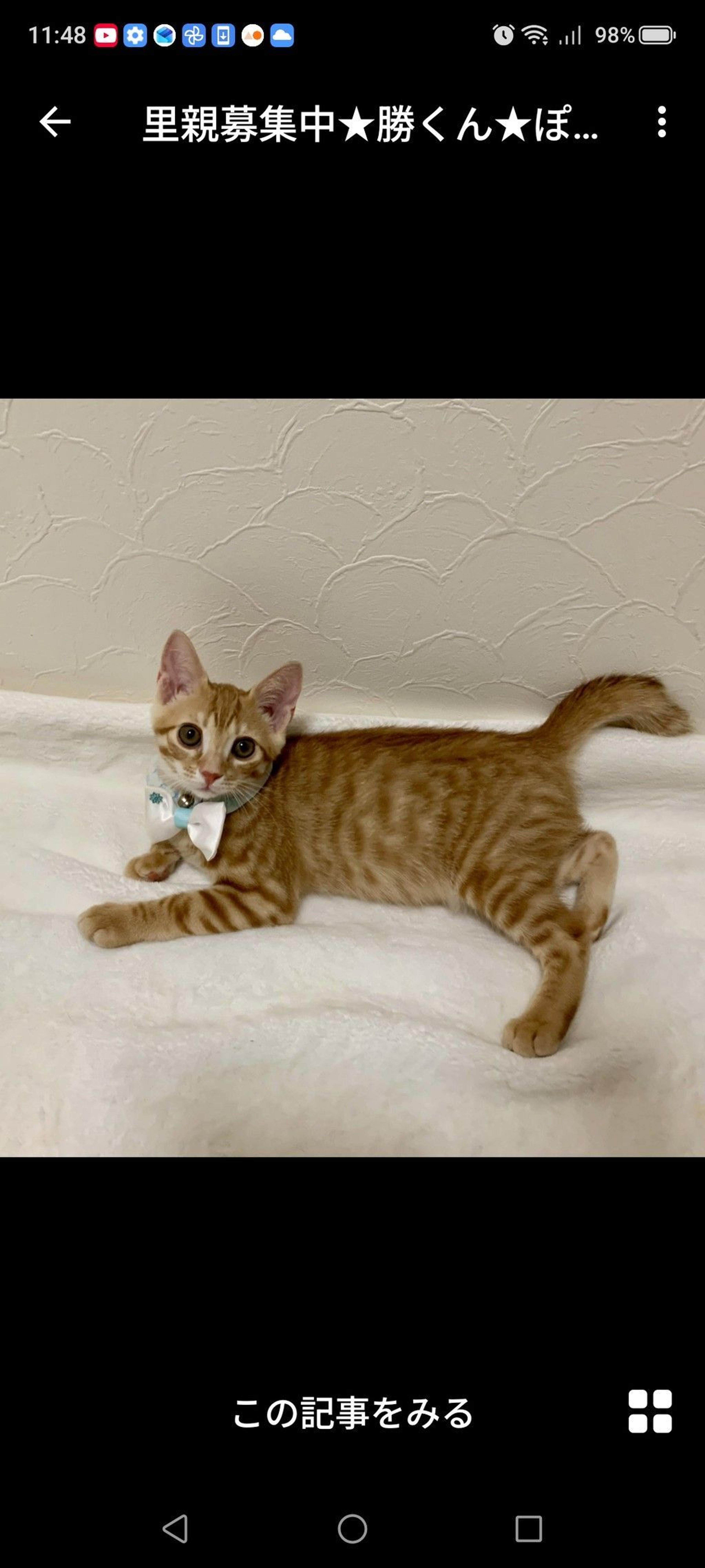 pet-image-3