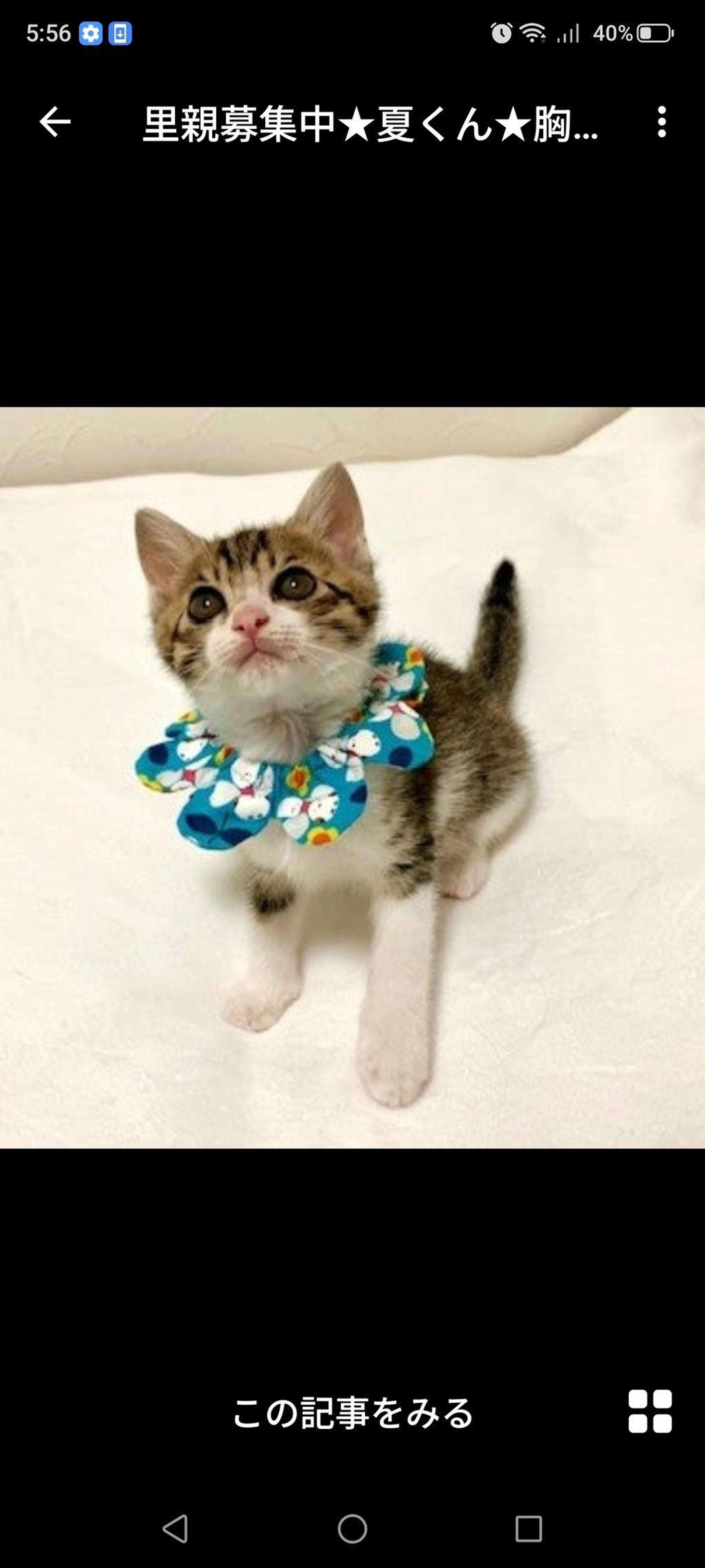 pet-image-2