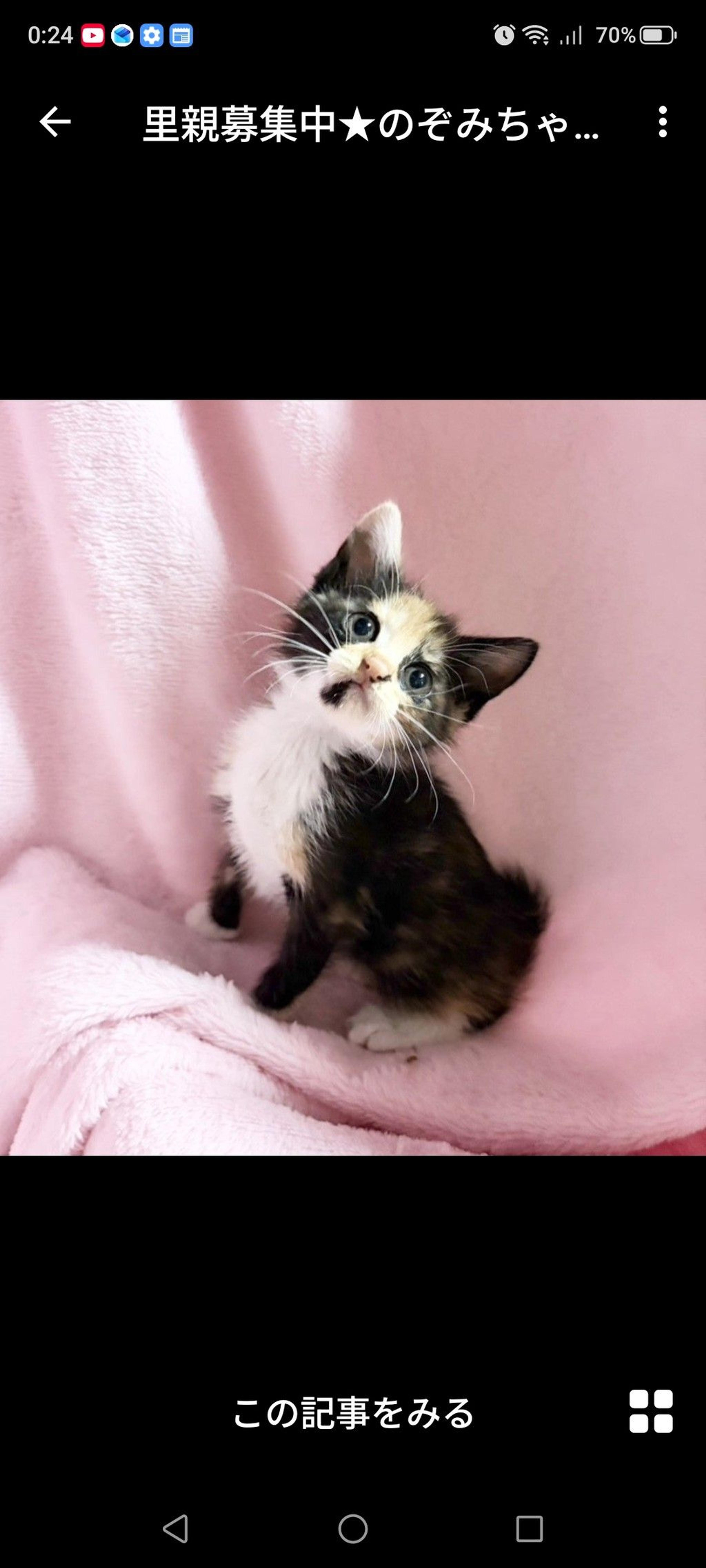 pet-image-2