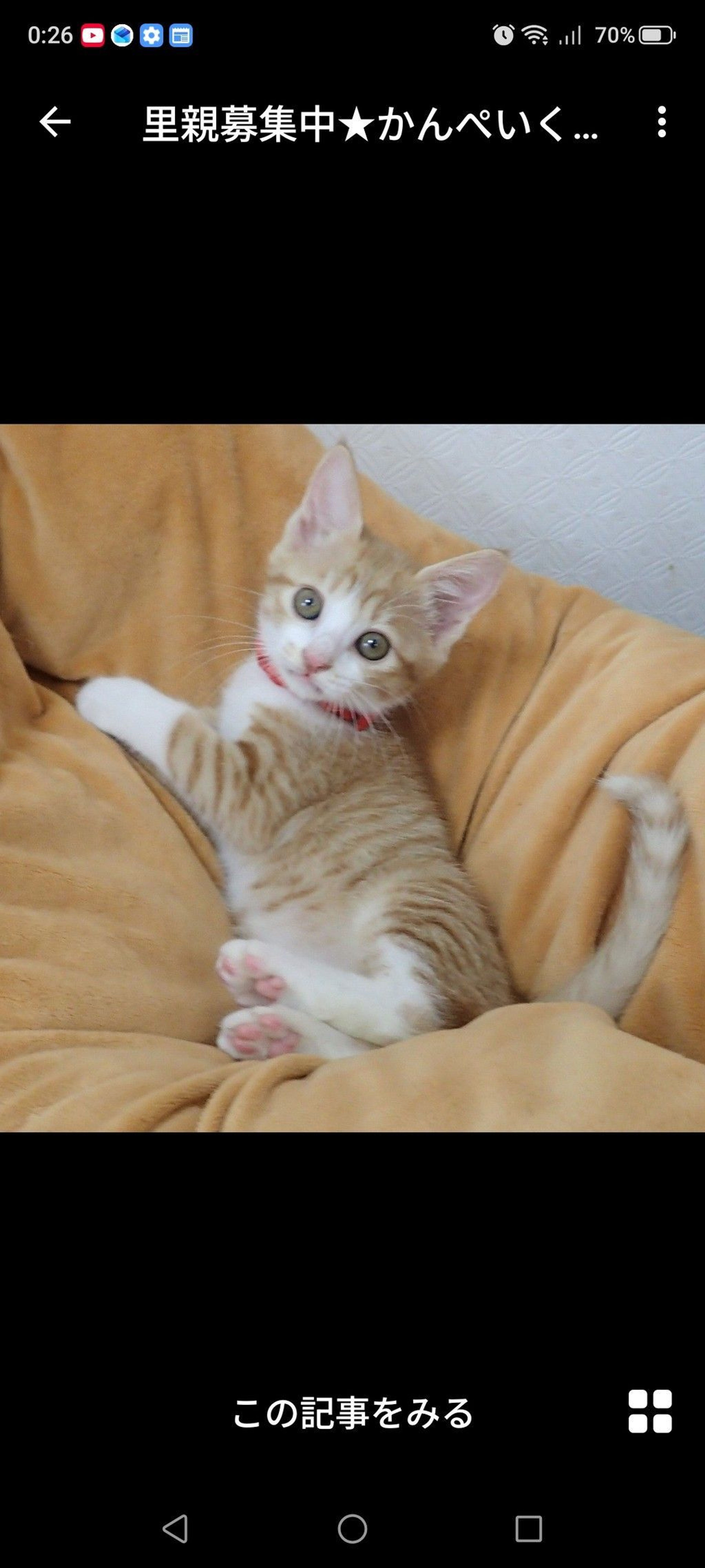 thumbnail-3