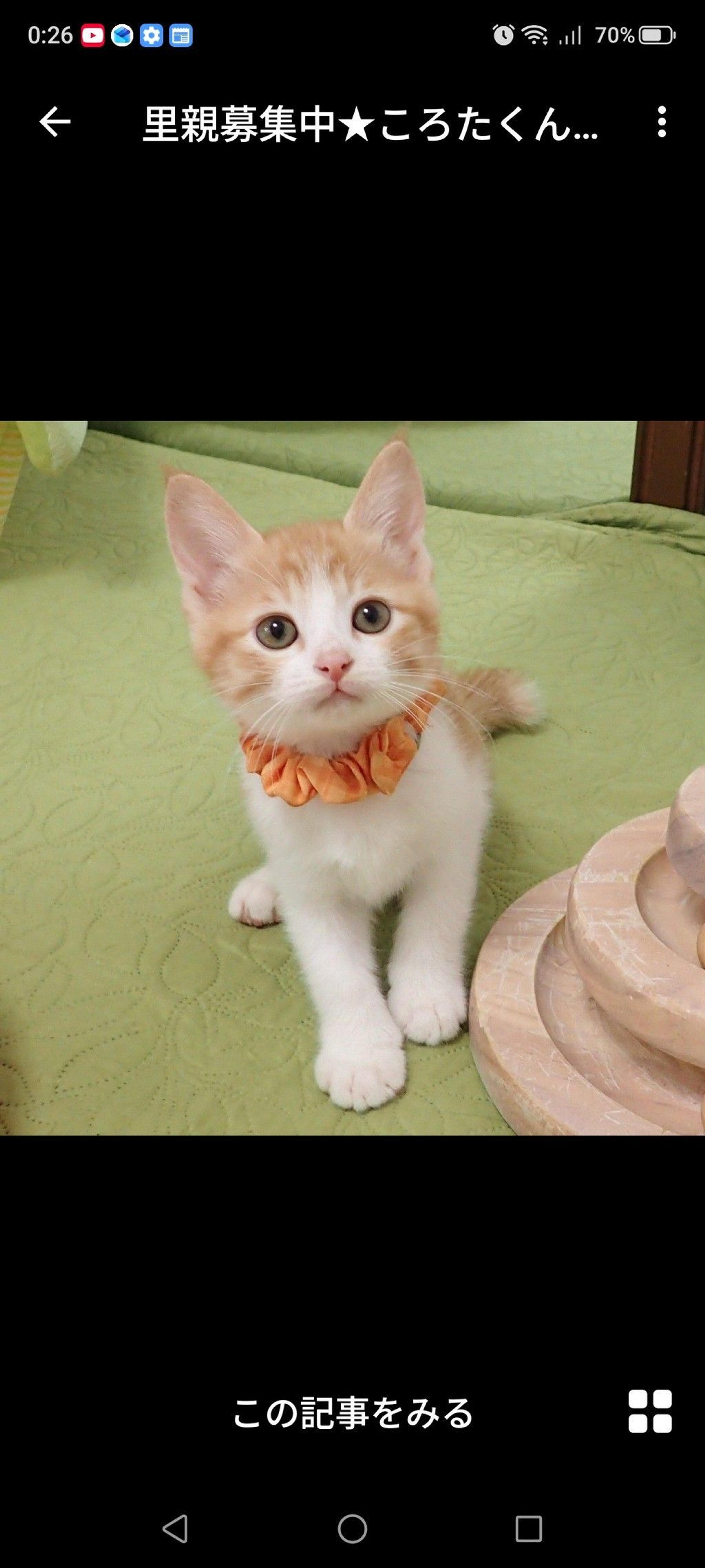 pet-image-2