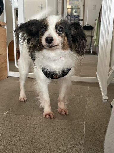 キューの写真