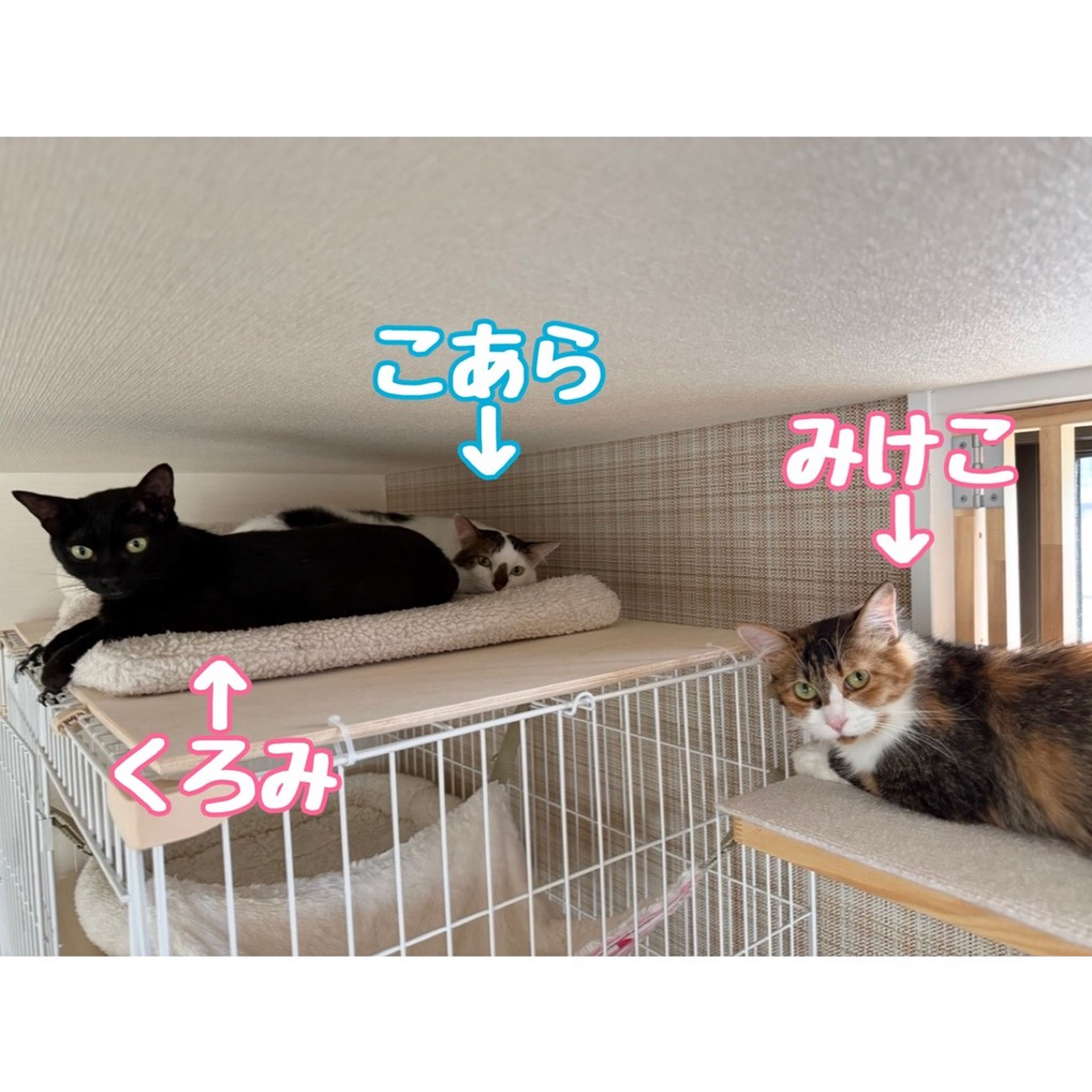 thumbnail-6