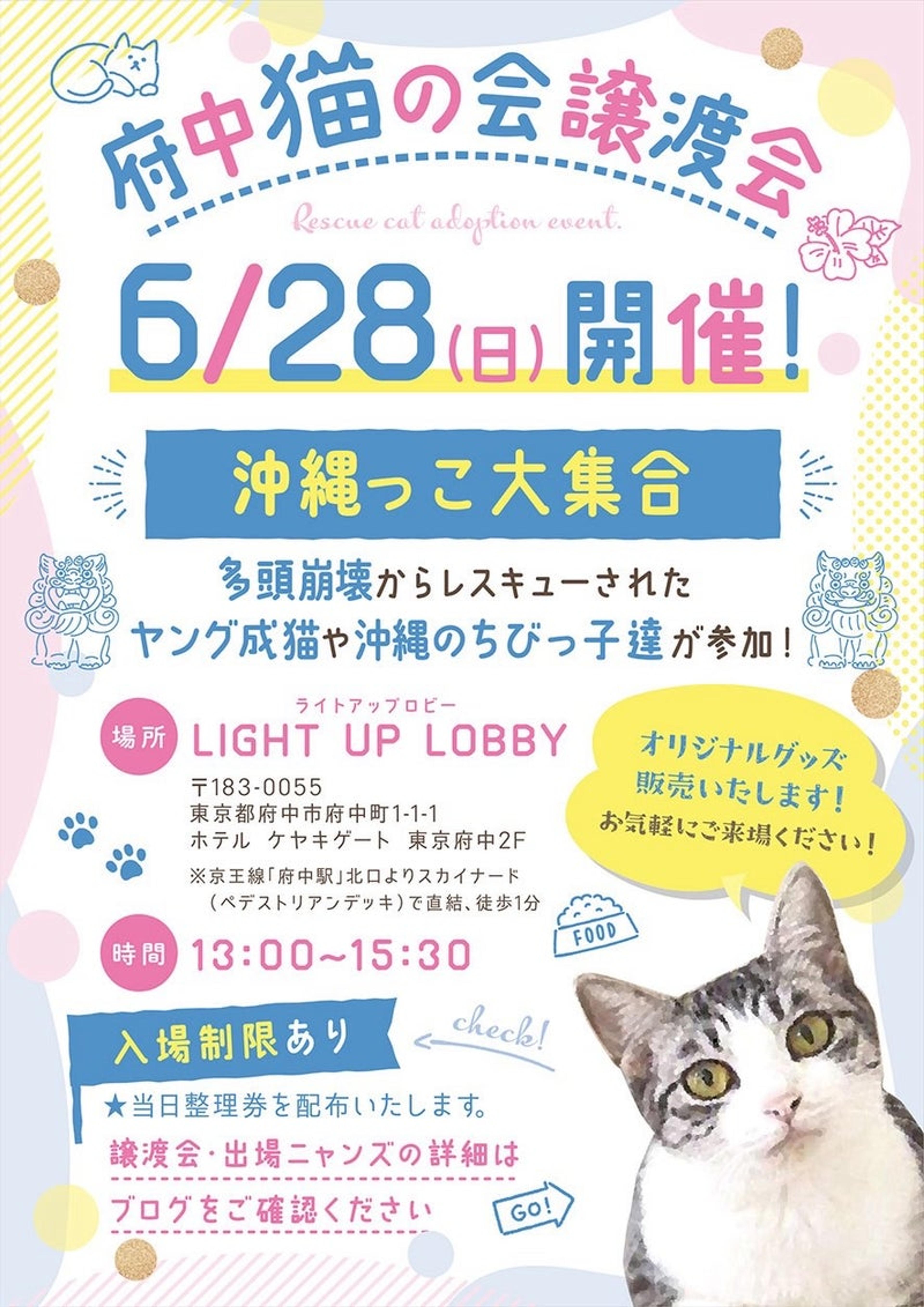 pet-image-6