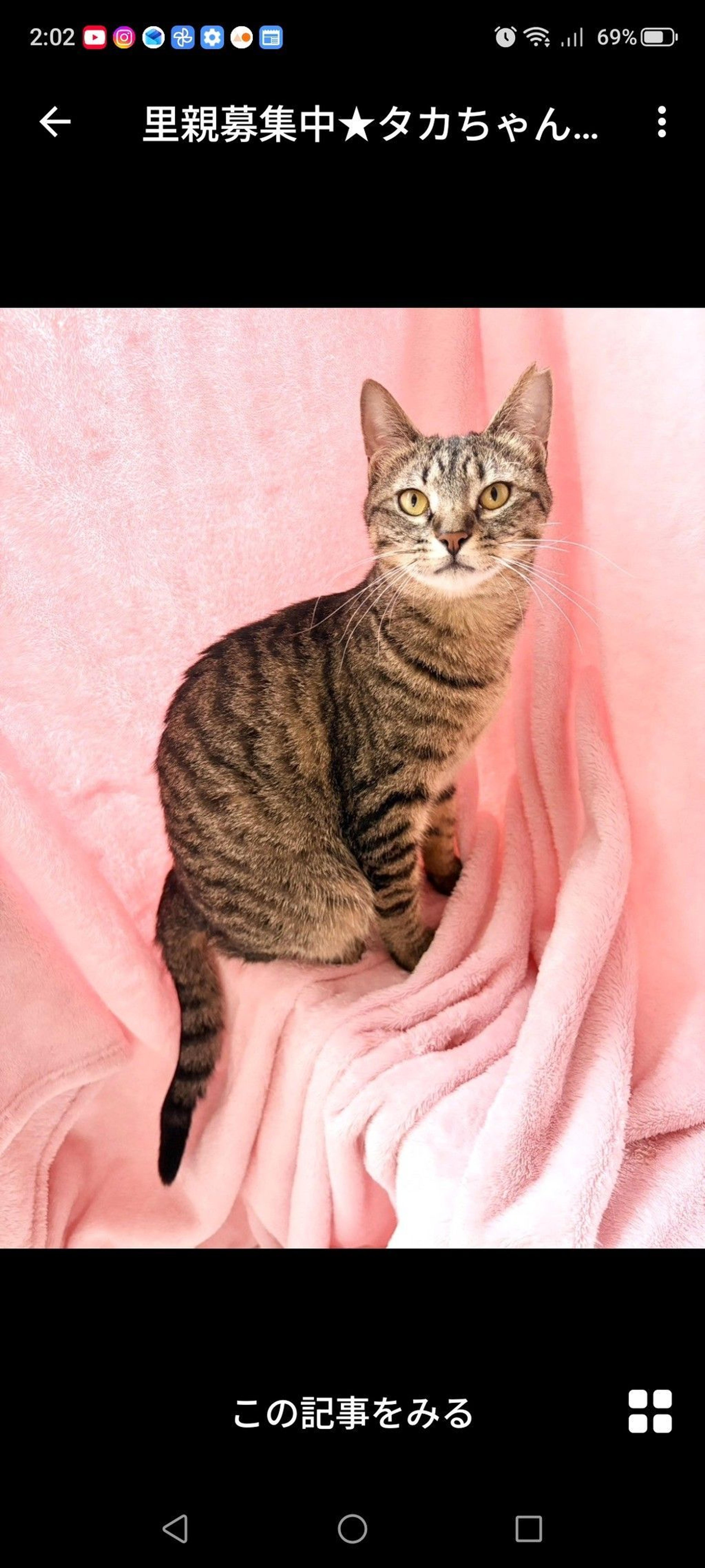pet-image-2