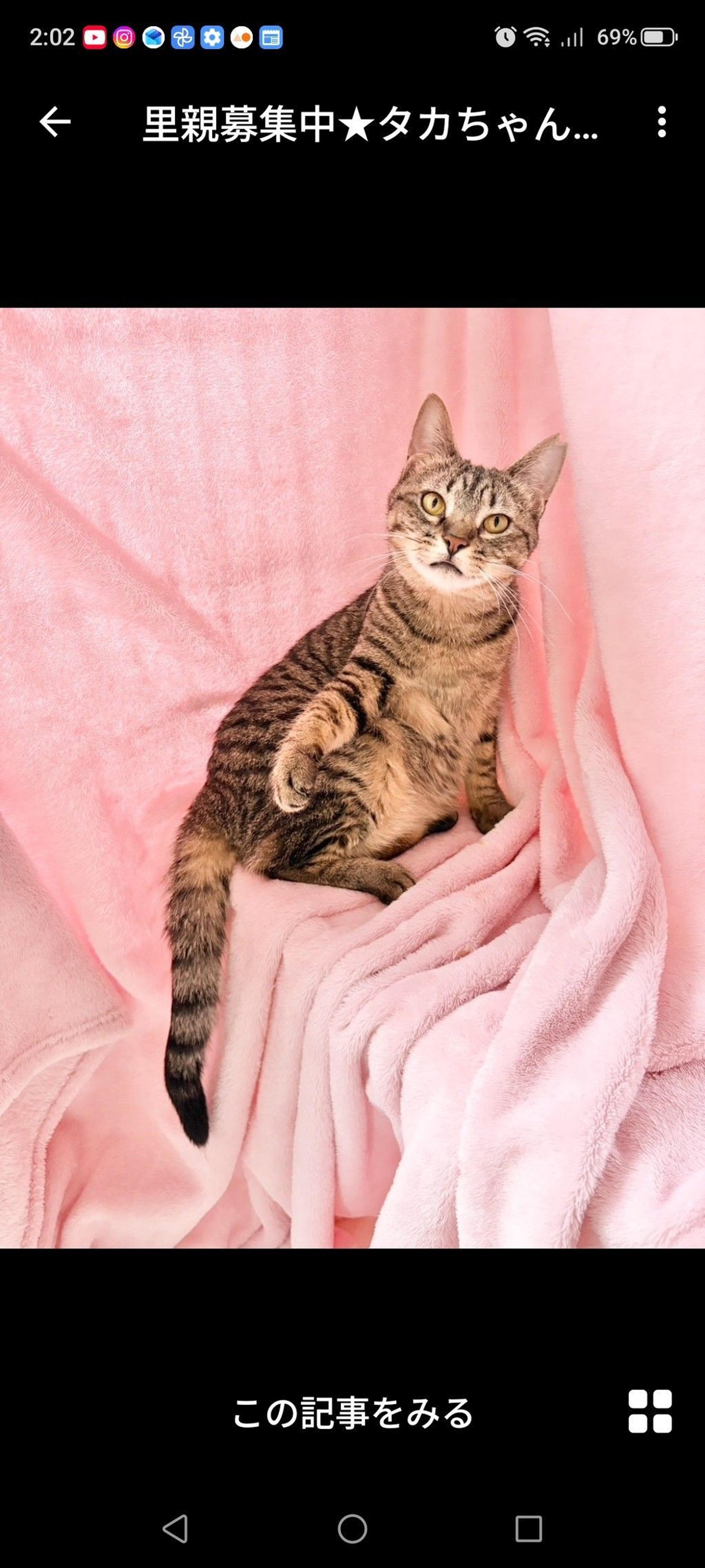 pet-image-3