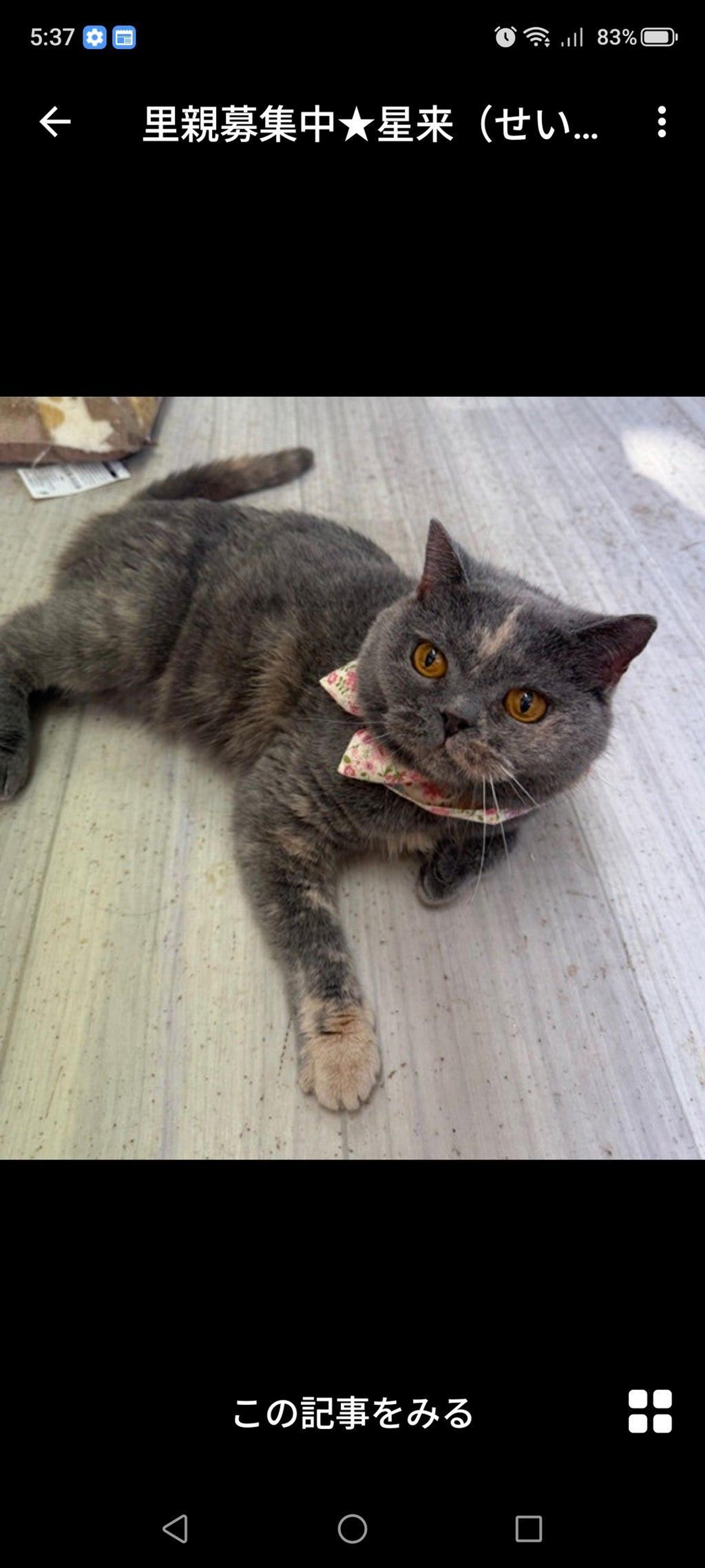 pet-image-2