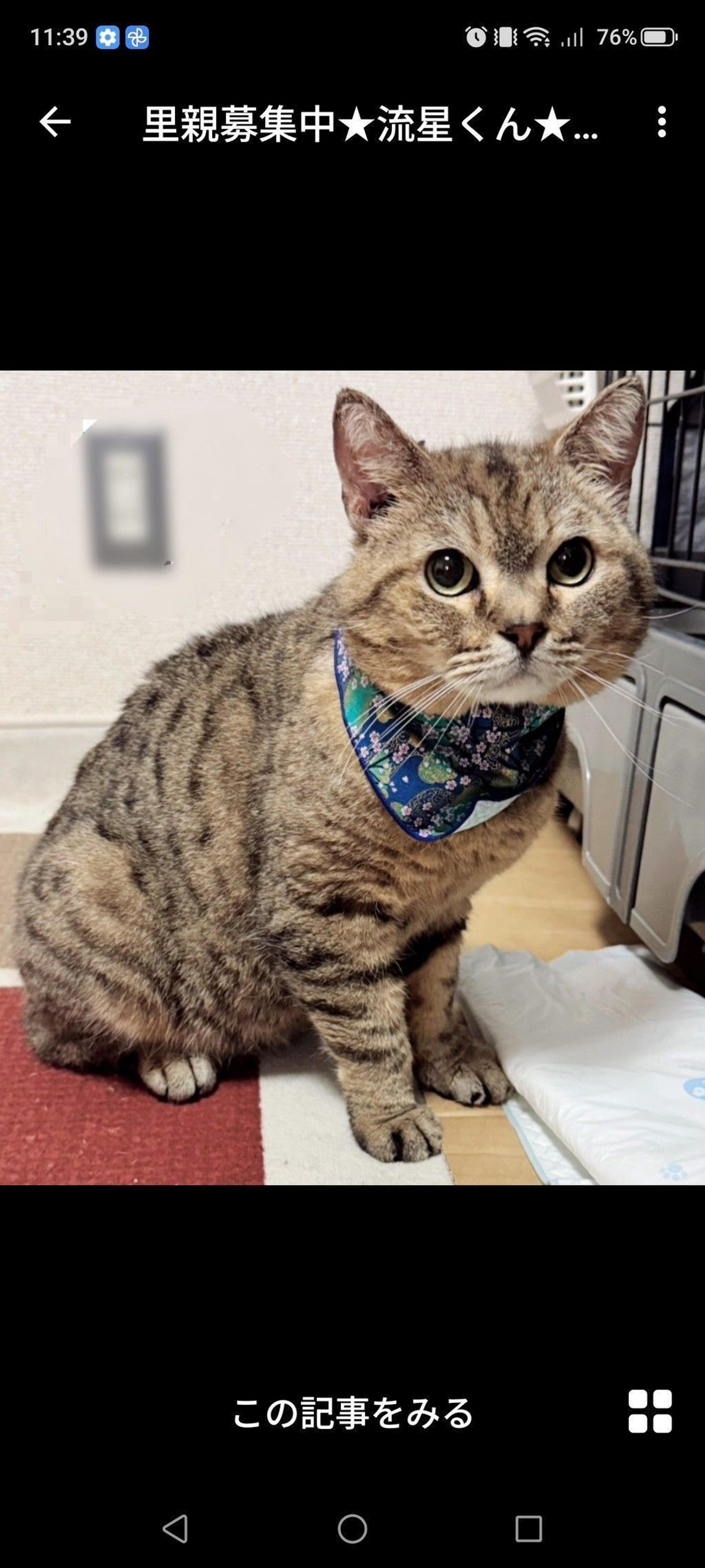 pet-image-2
