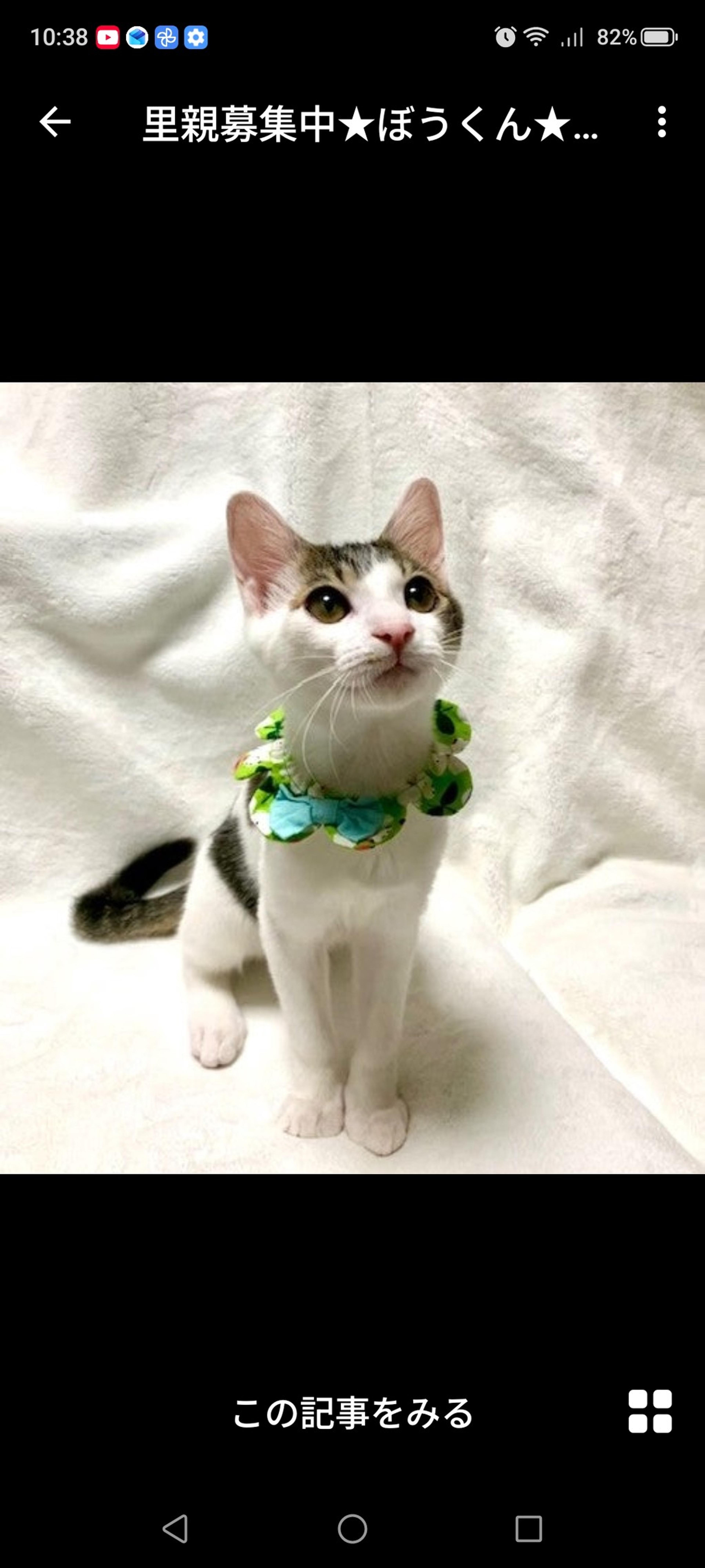 pet-image-3