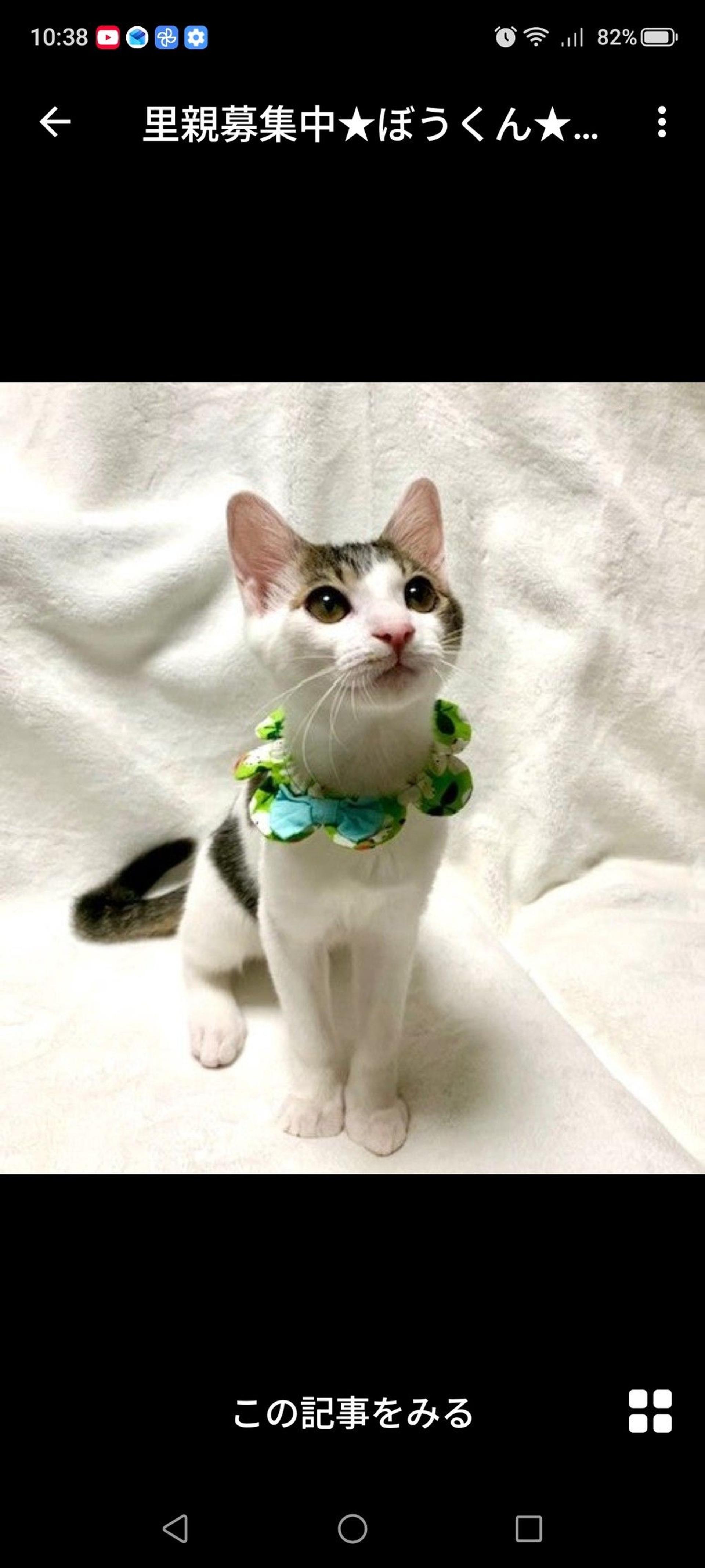 pet-image-3