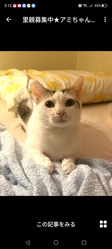 アミちゃんの写真