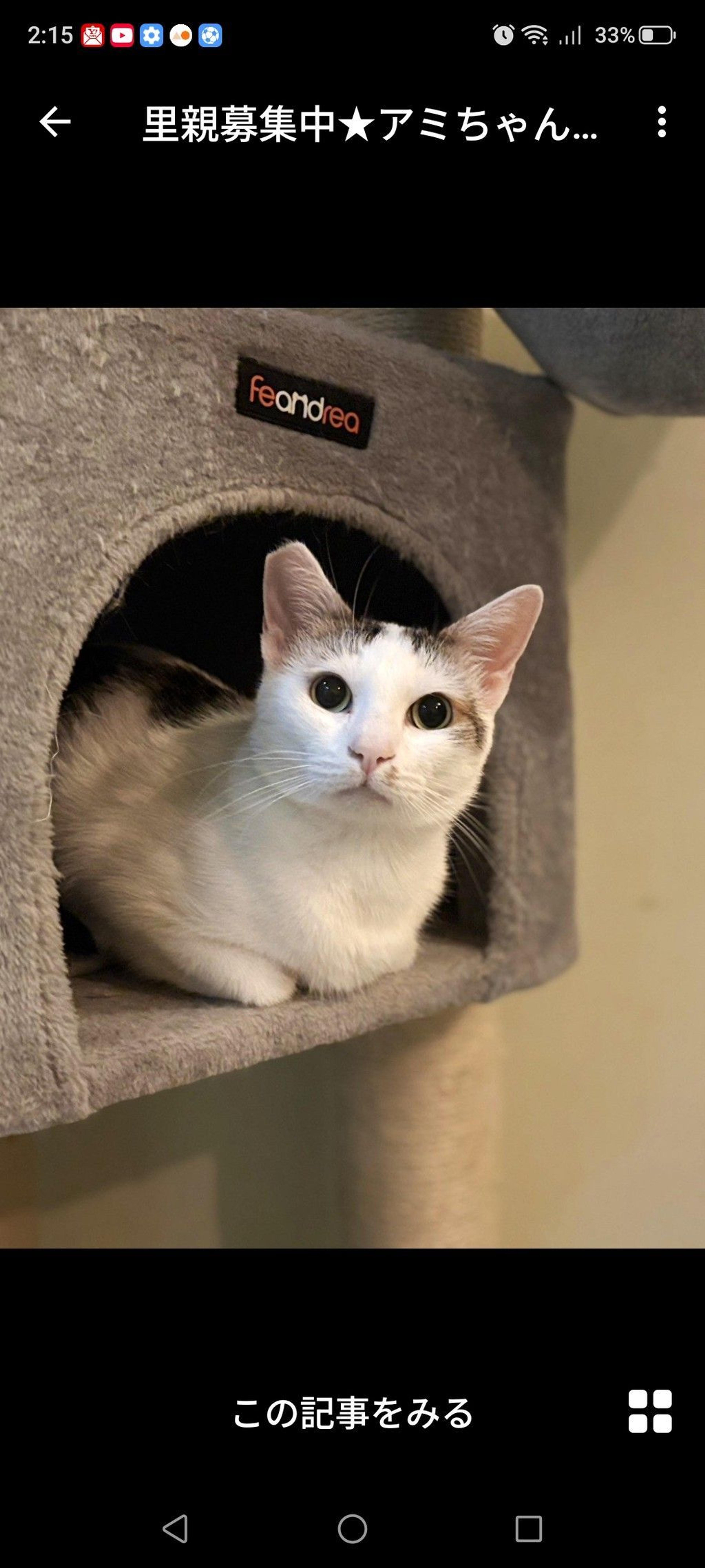 pet-image-3