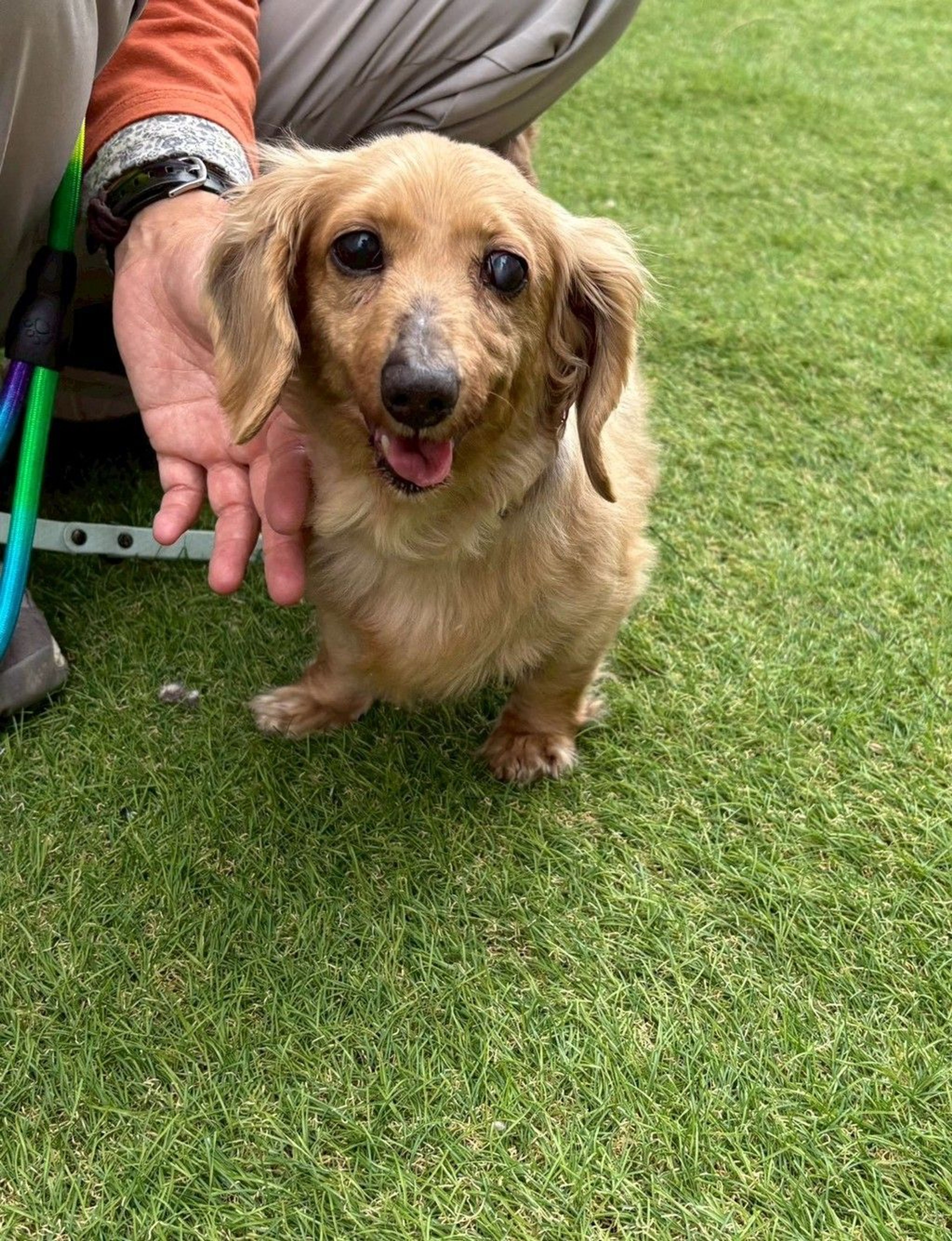 thumbnail-9