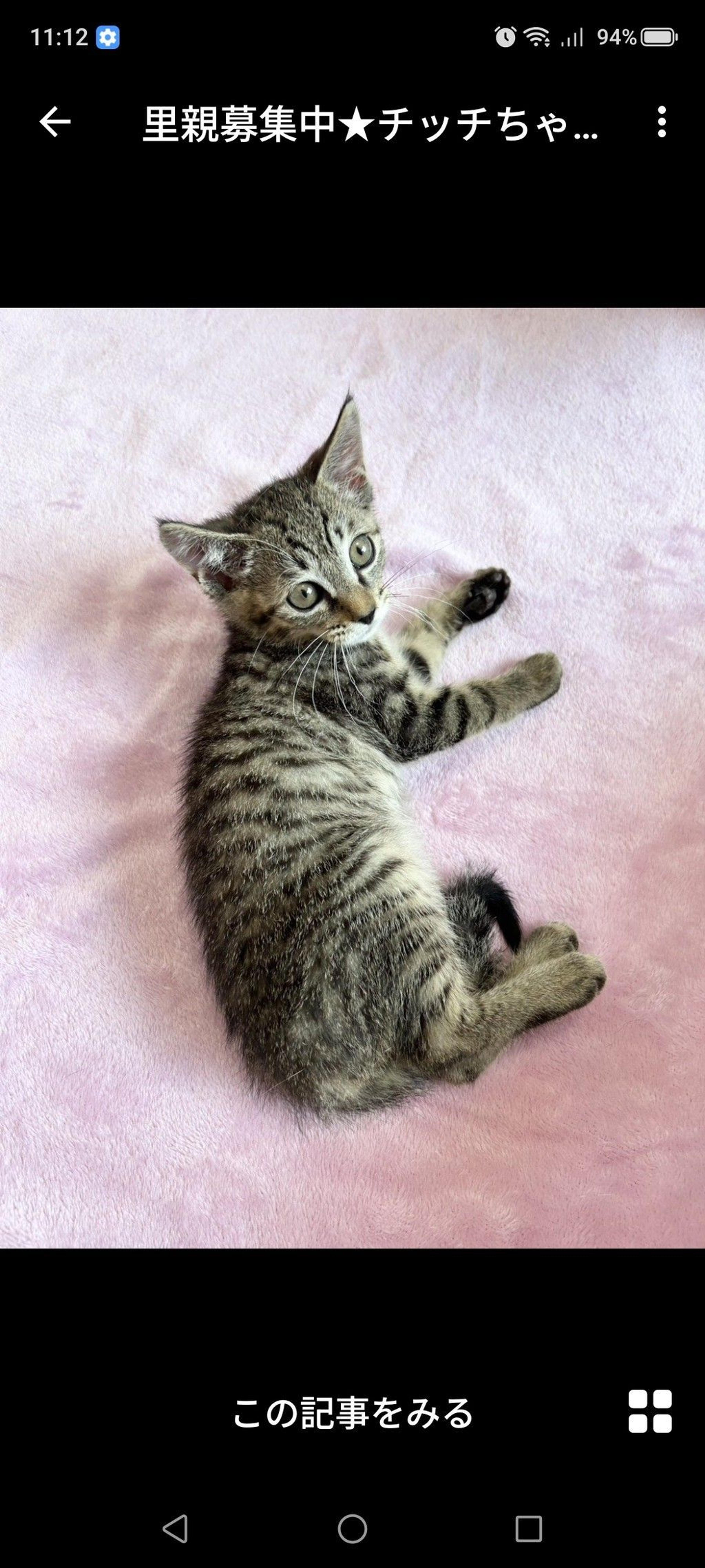 pet-image-3