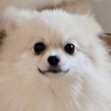 チビッ子 の写真