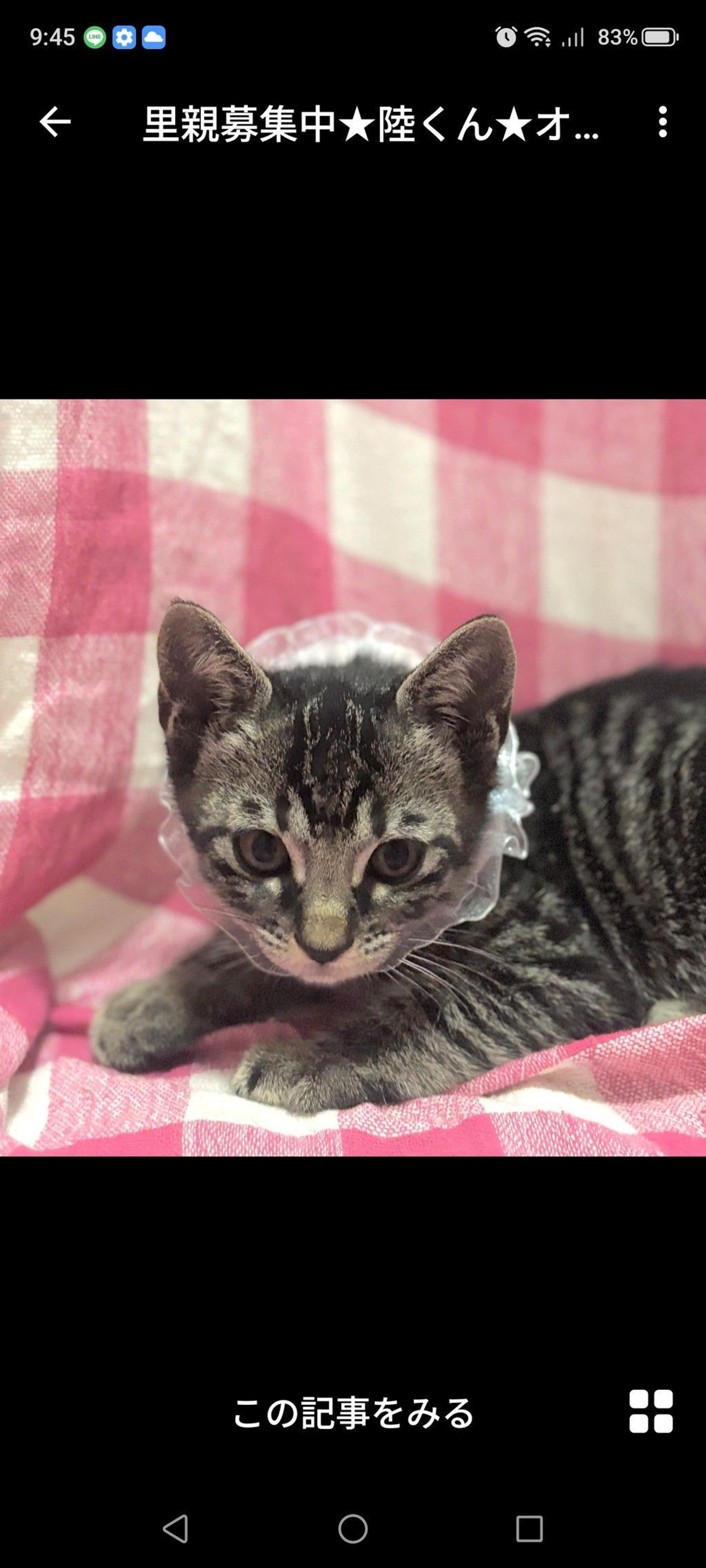 pet-image-3