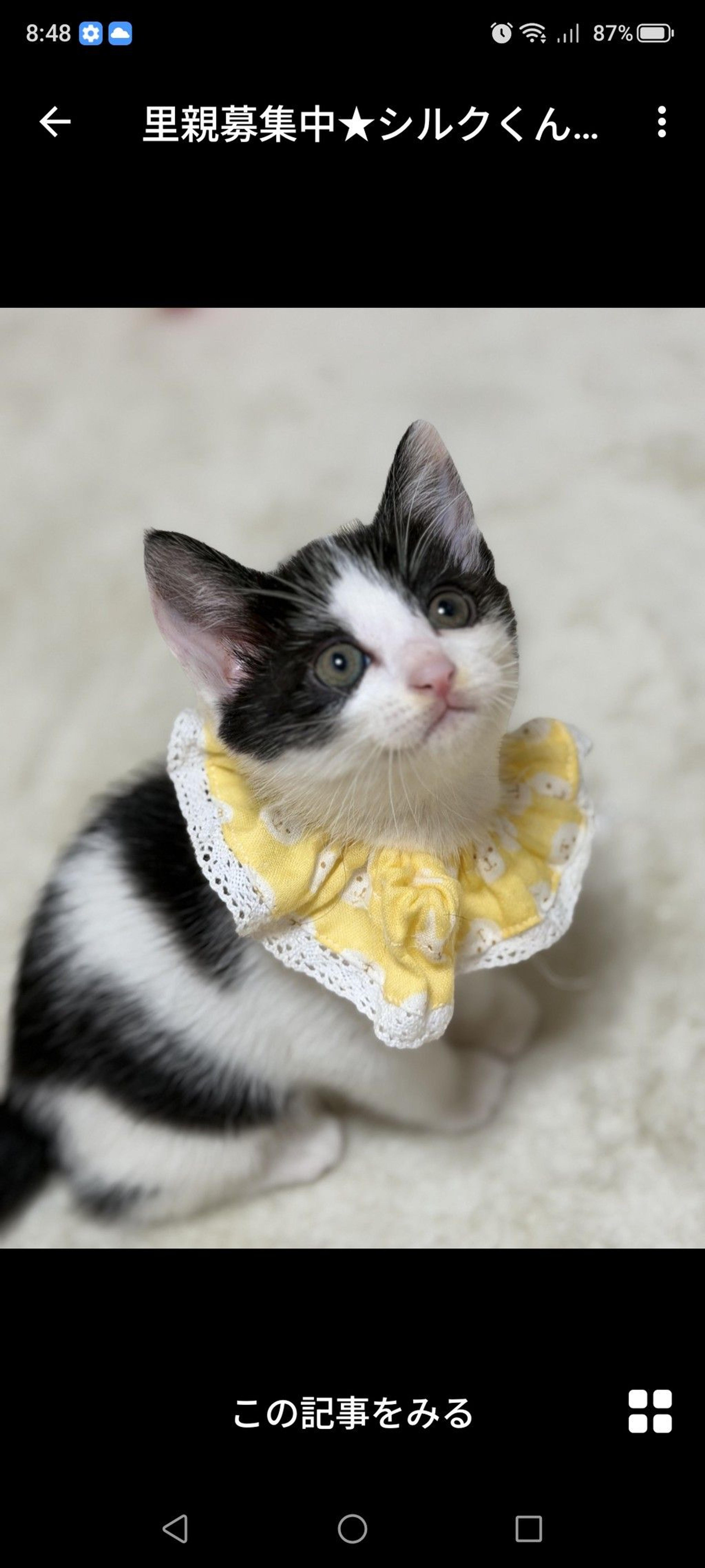 pet-image-3