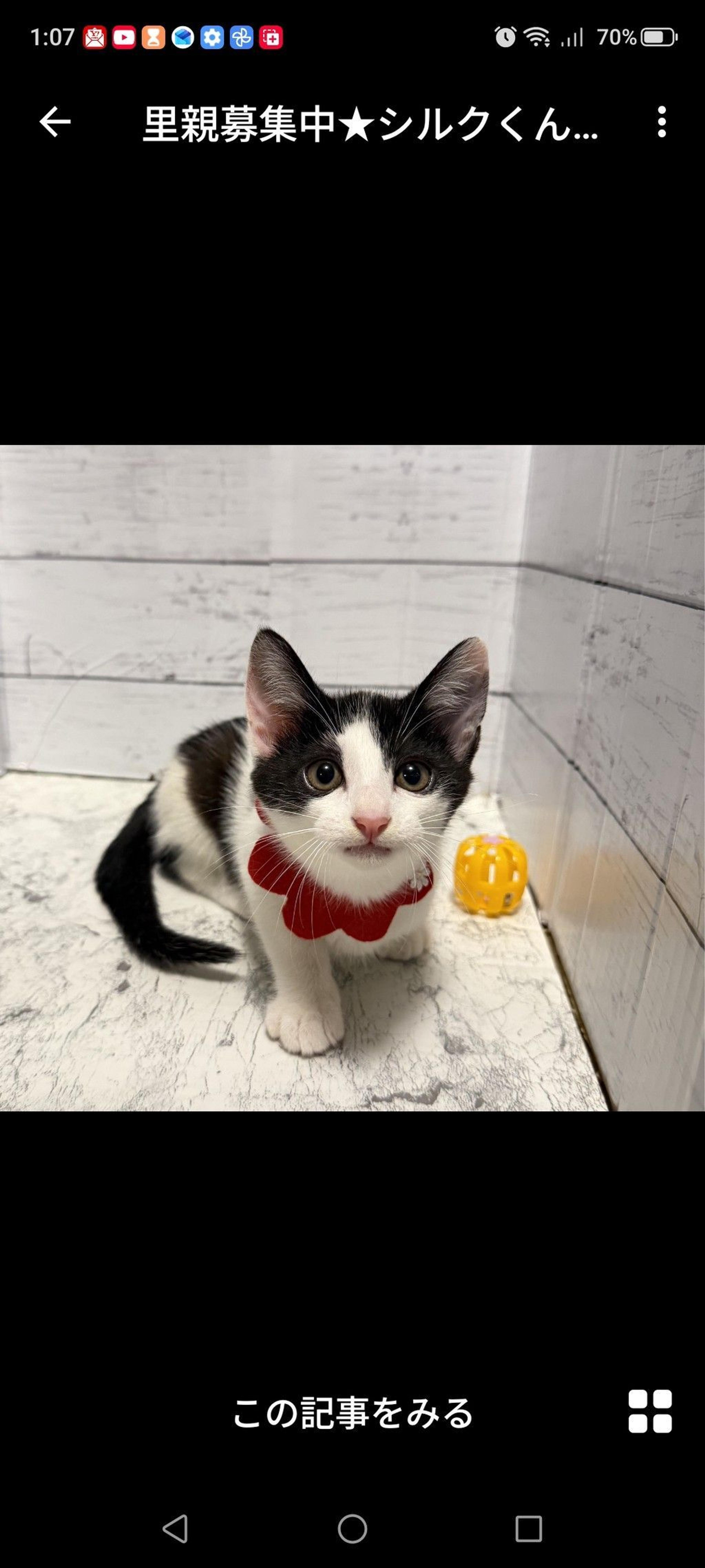 pet-image-2