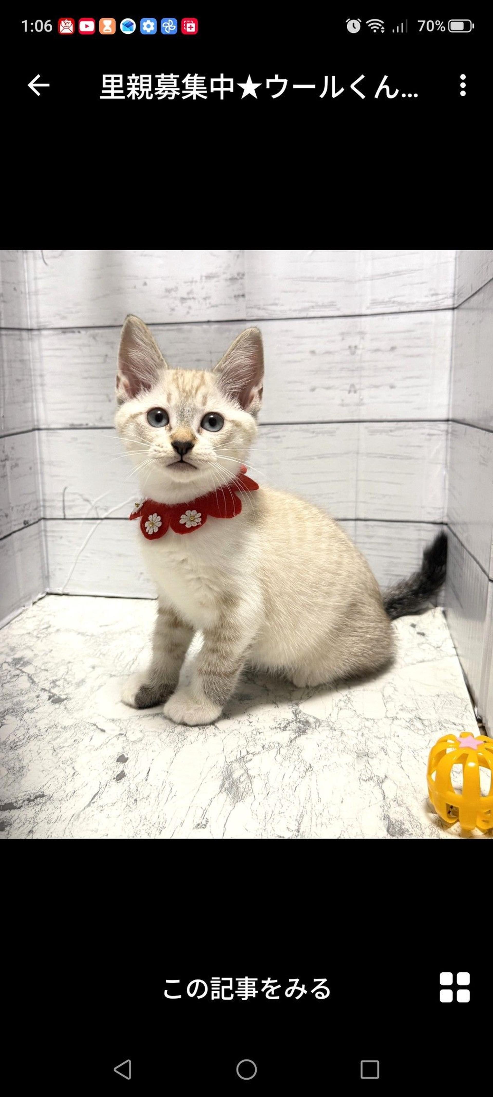 pet-image-2