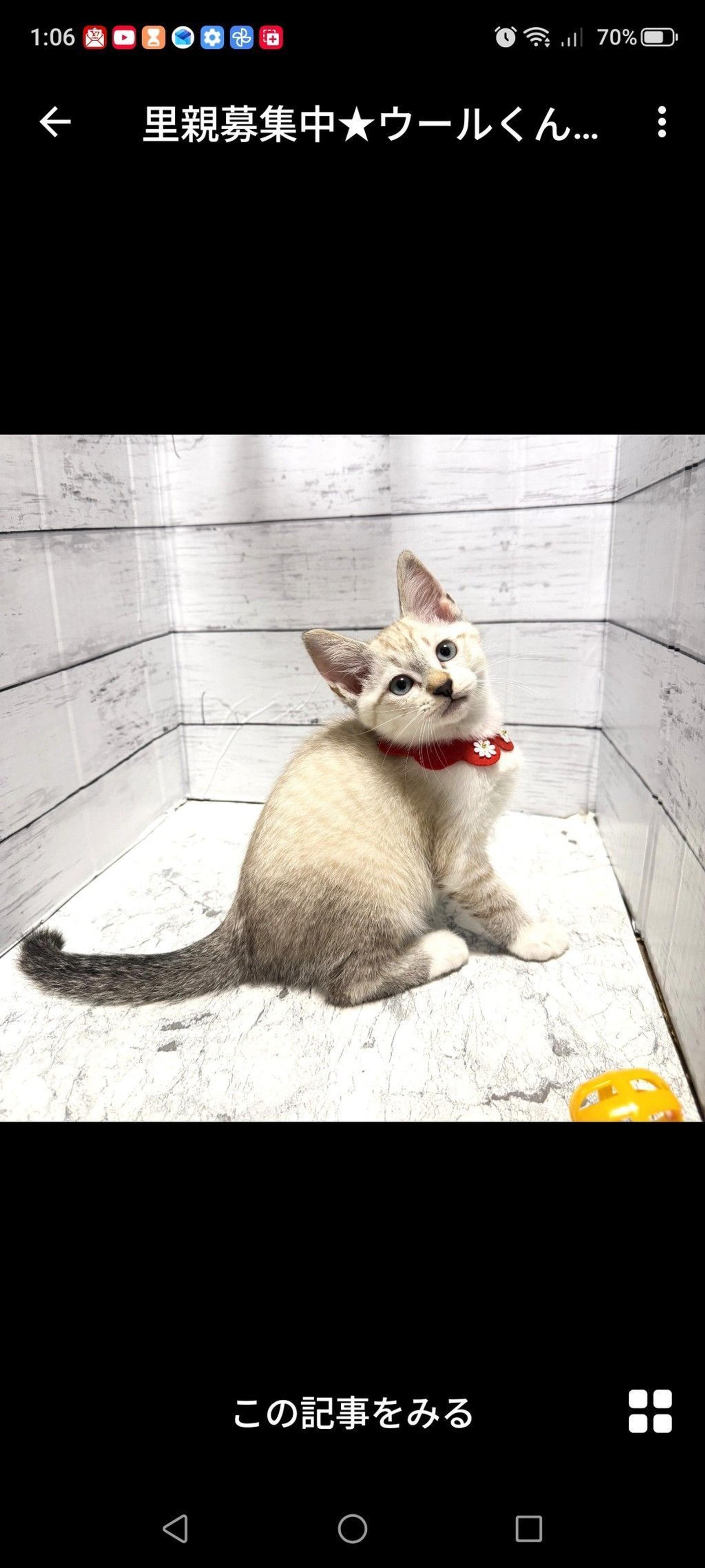 pet-image-3