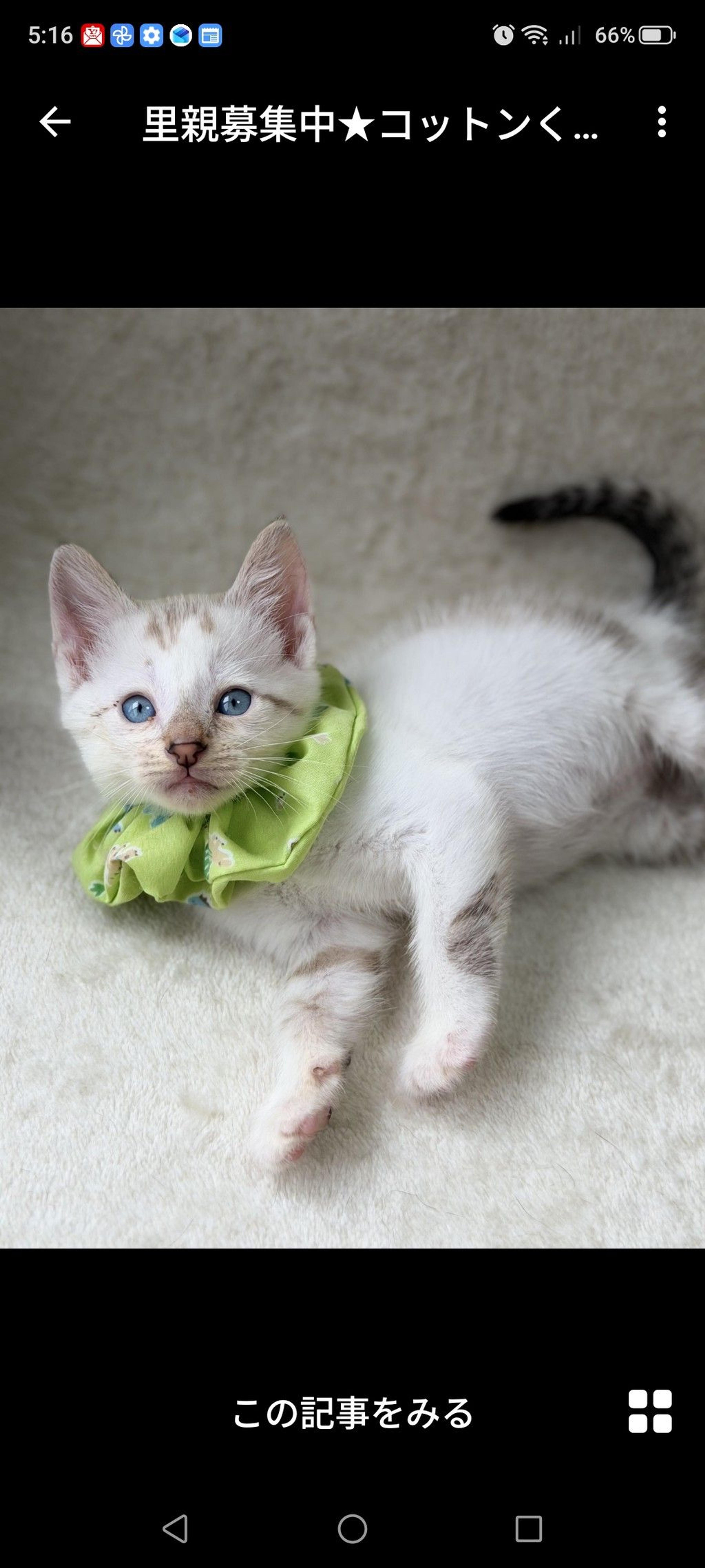 pet-image-2
