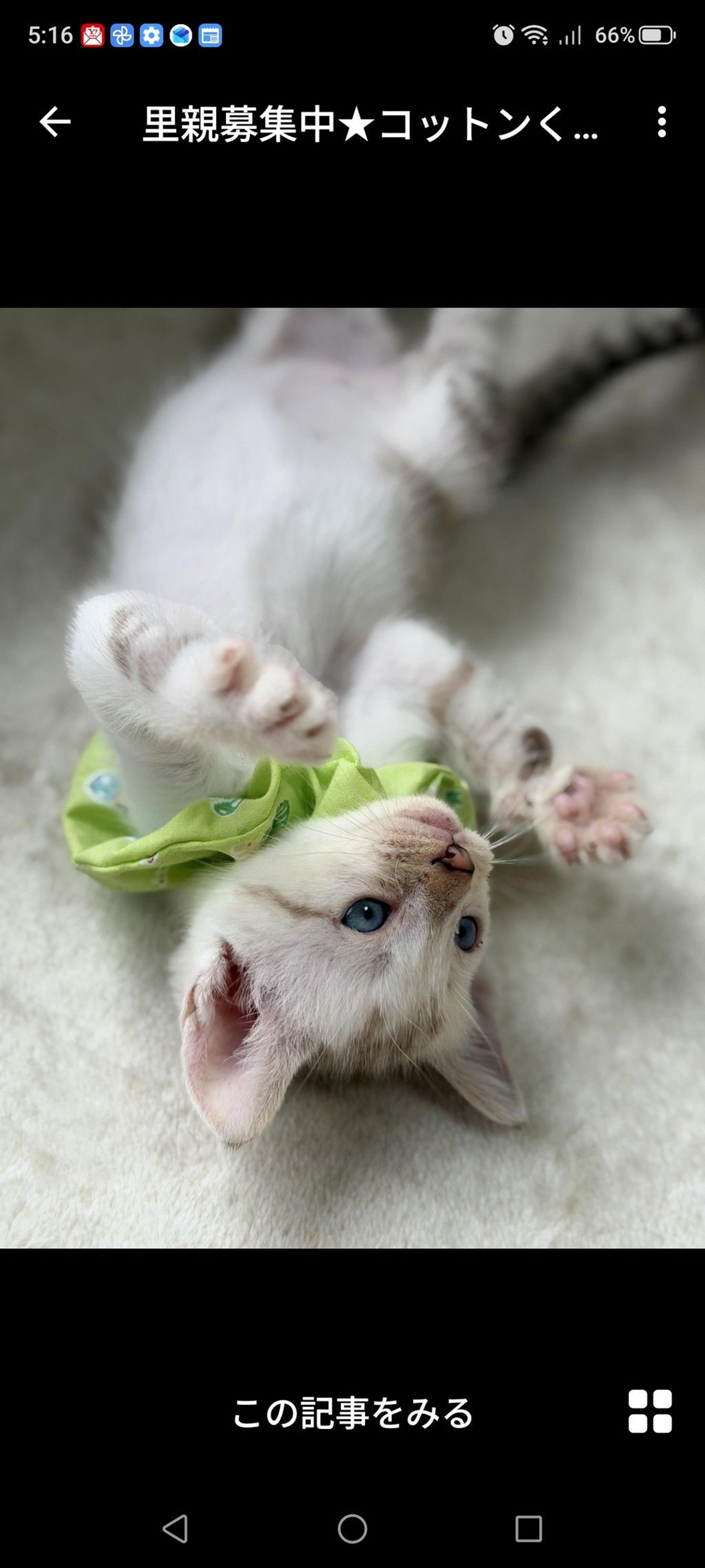 pet-image-3