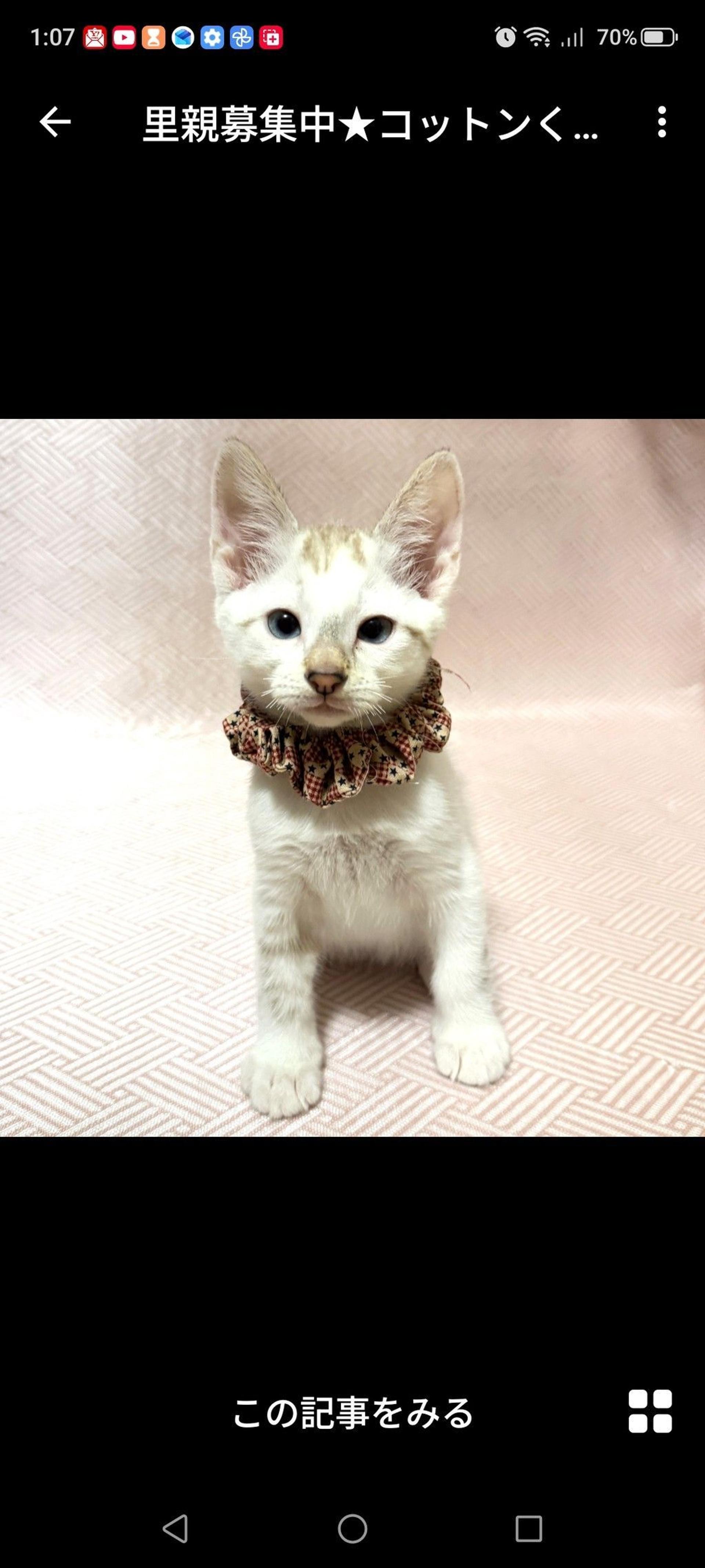 pet-image-2