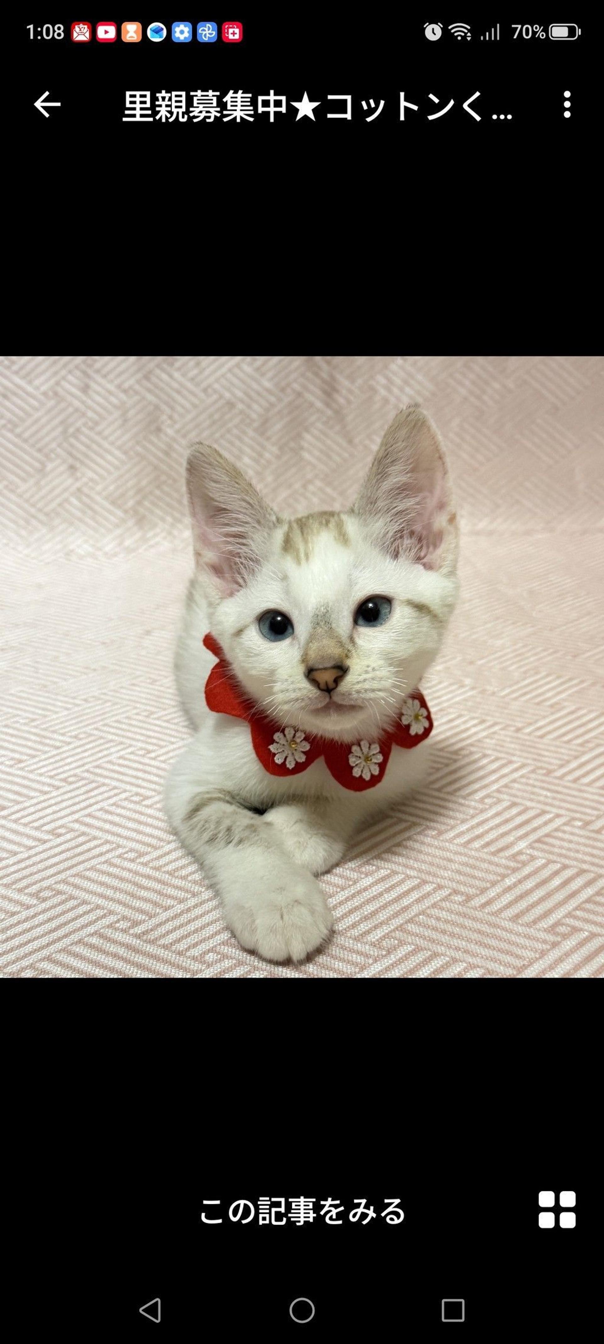 pet-image-3