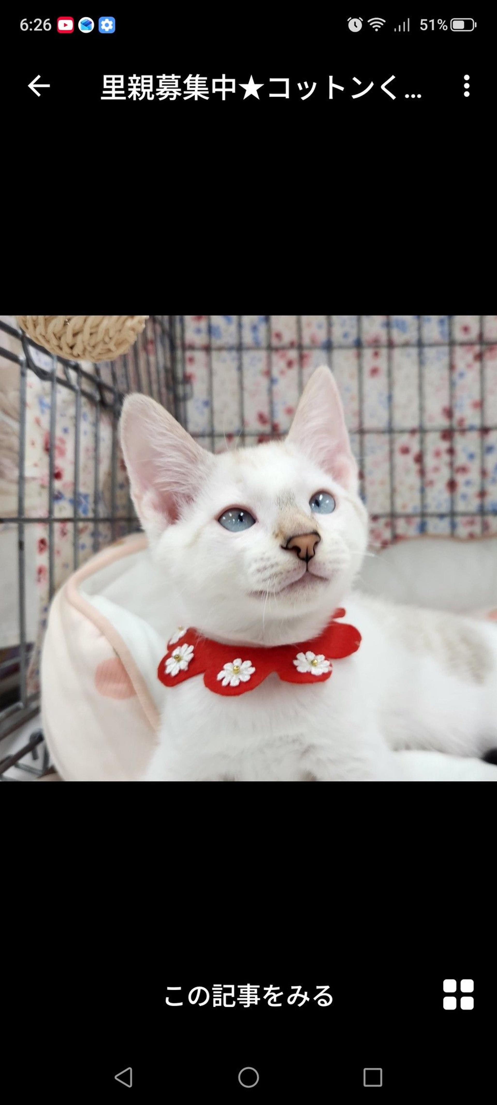 pet-image-3