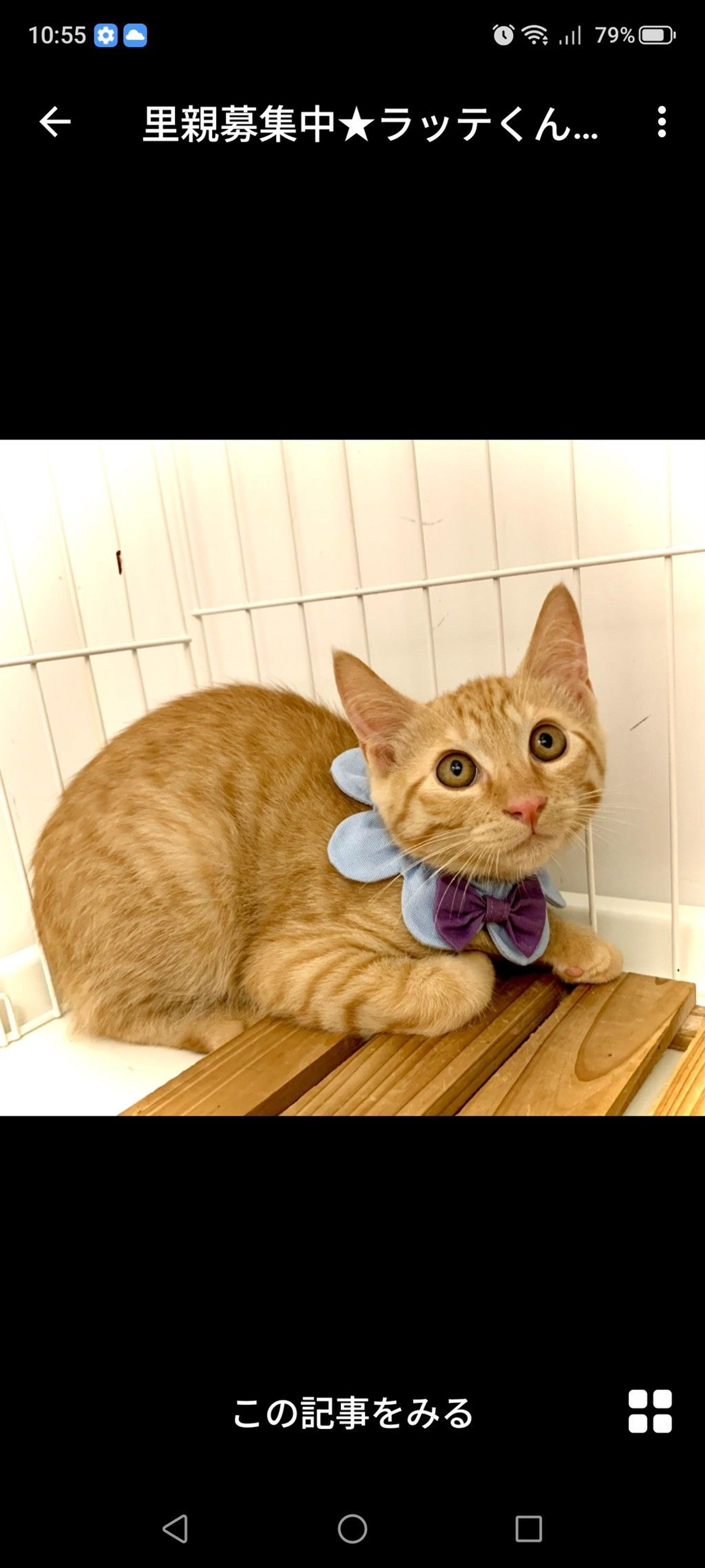 pet-image-2