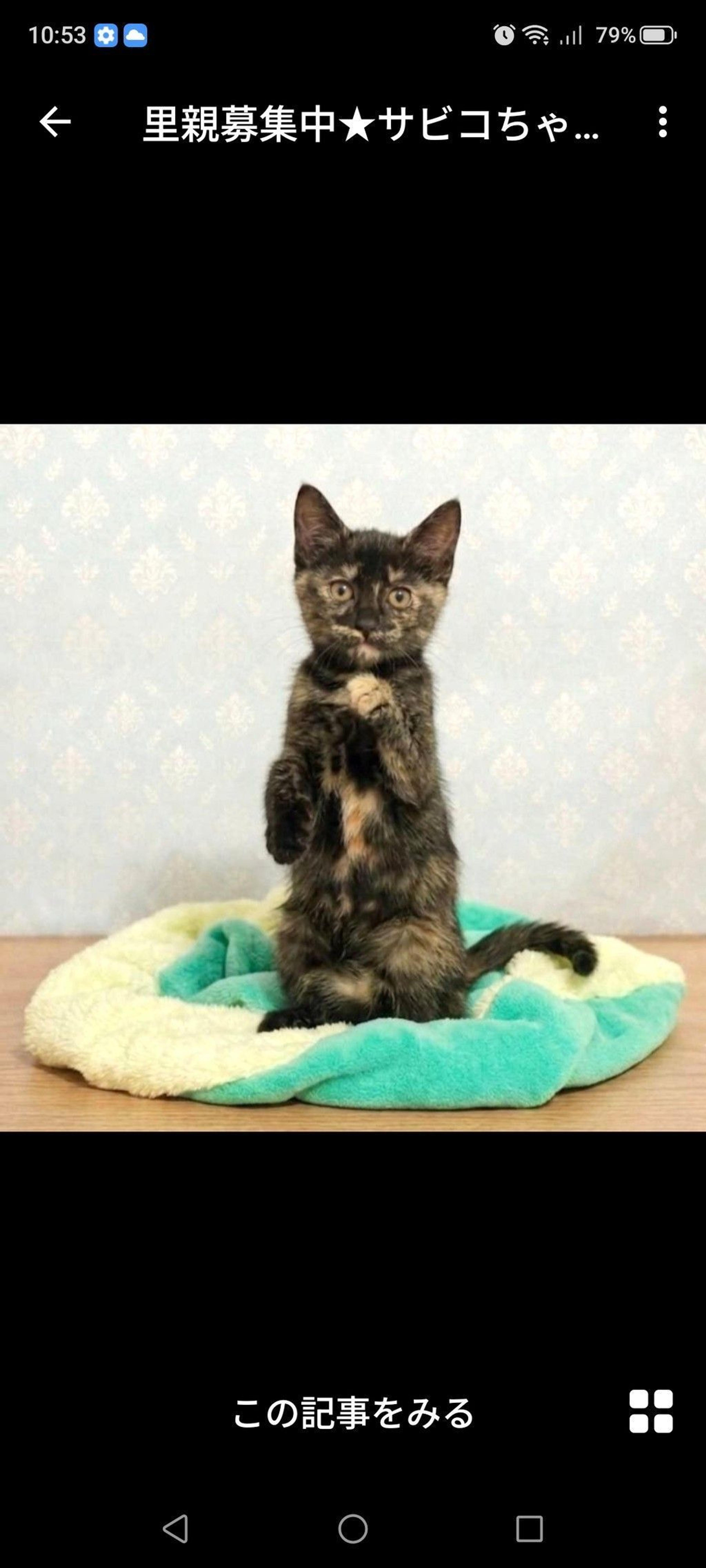 pet-image-3
