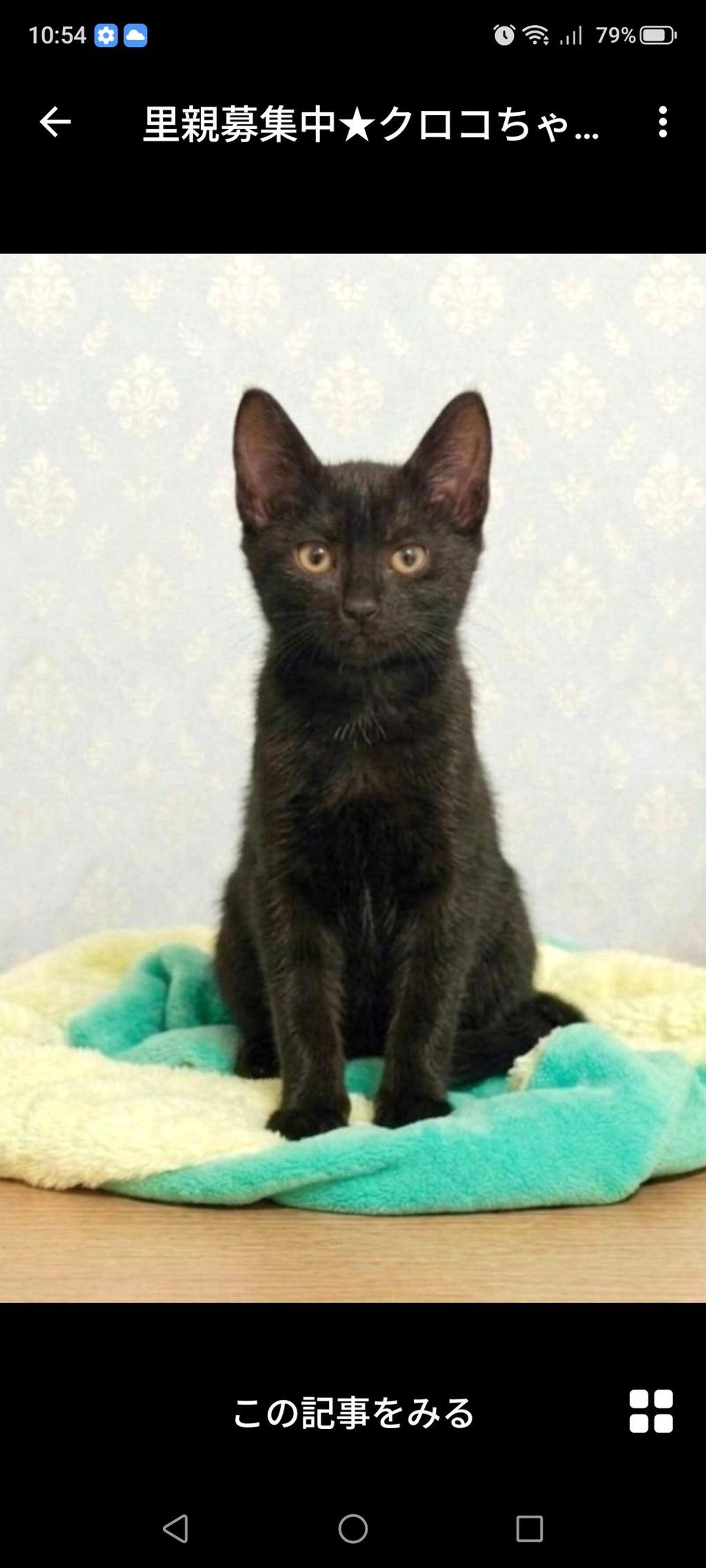 pet-image-2