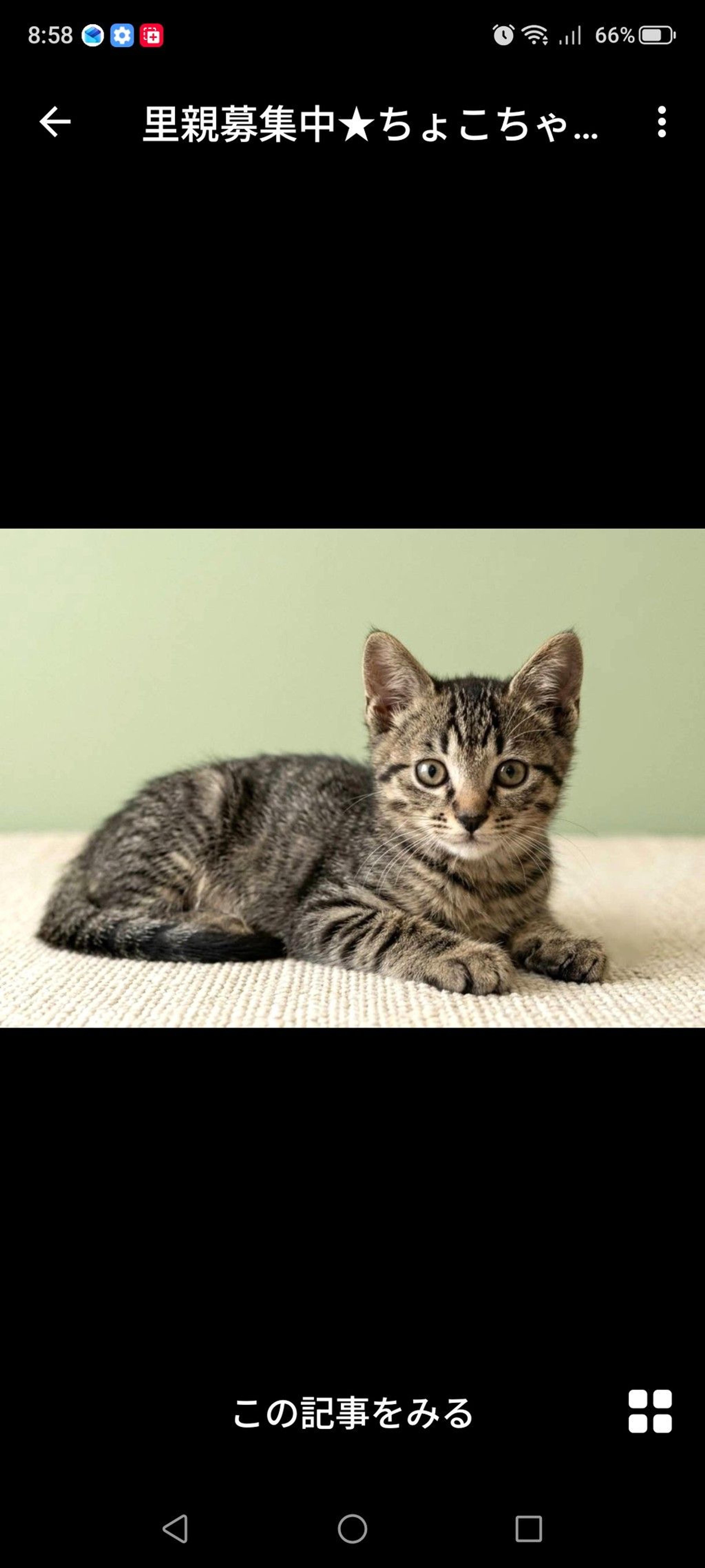 pet-image-2