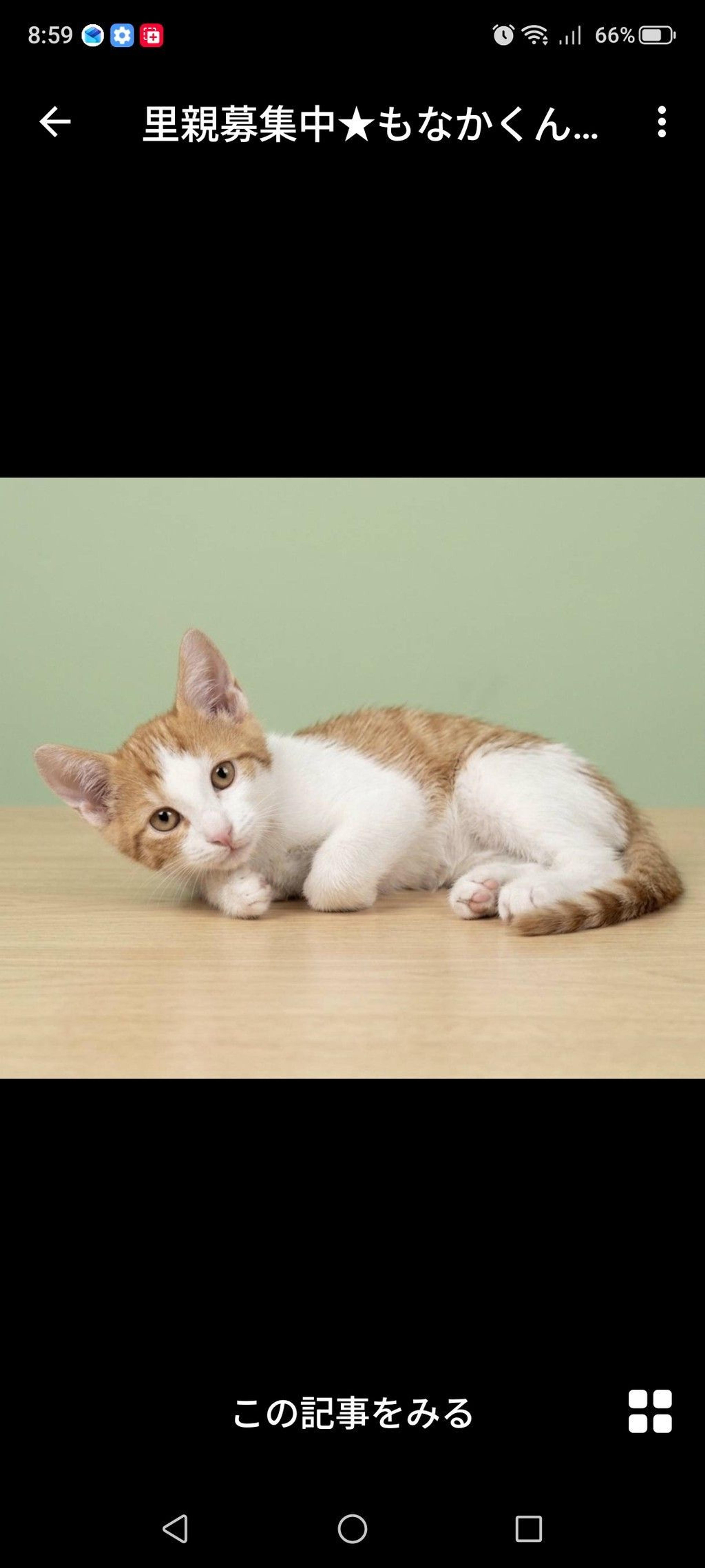 pet-image-3