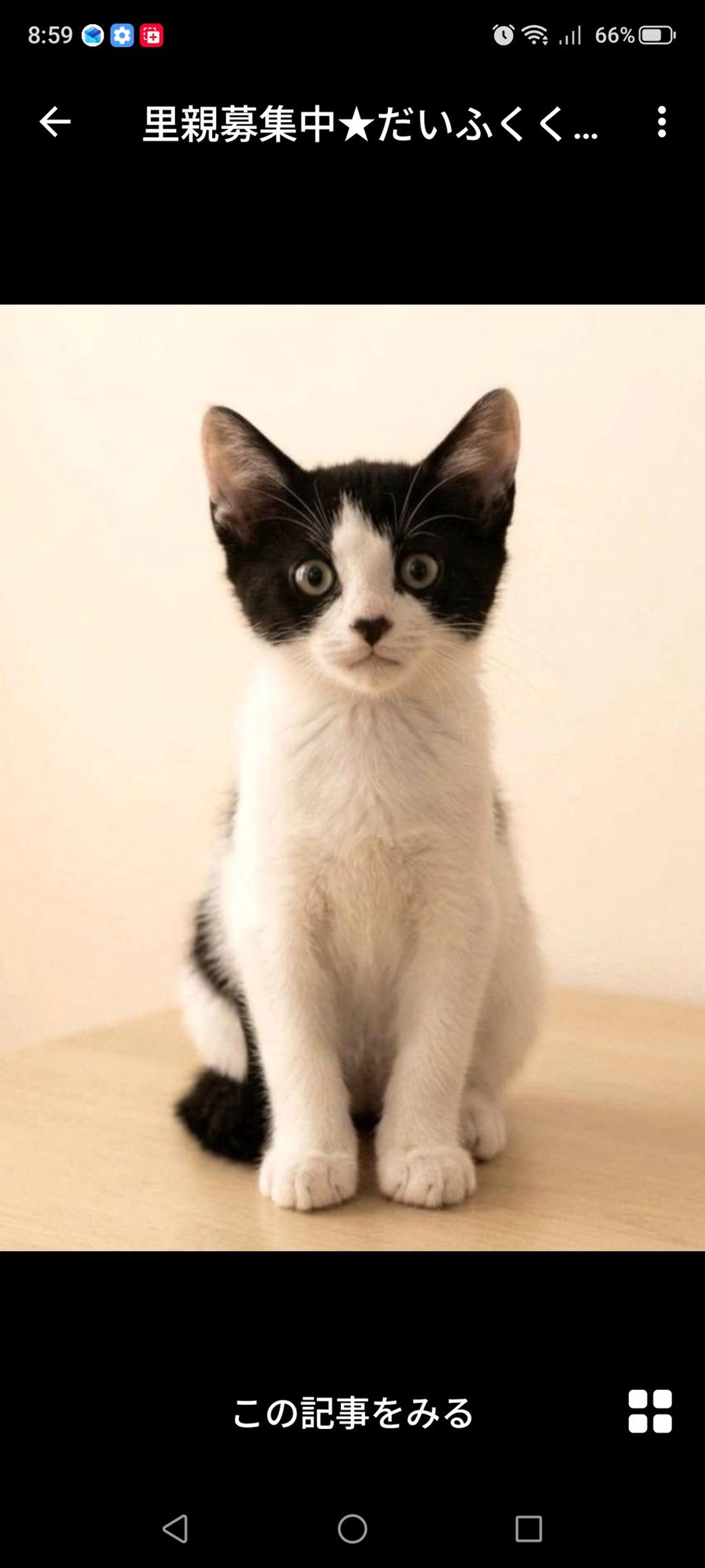 pet-image-2