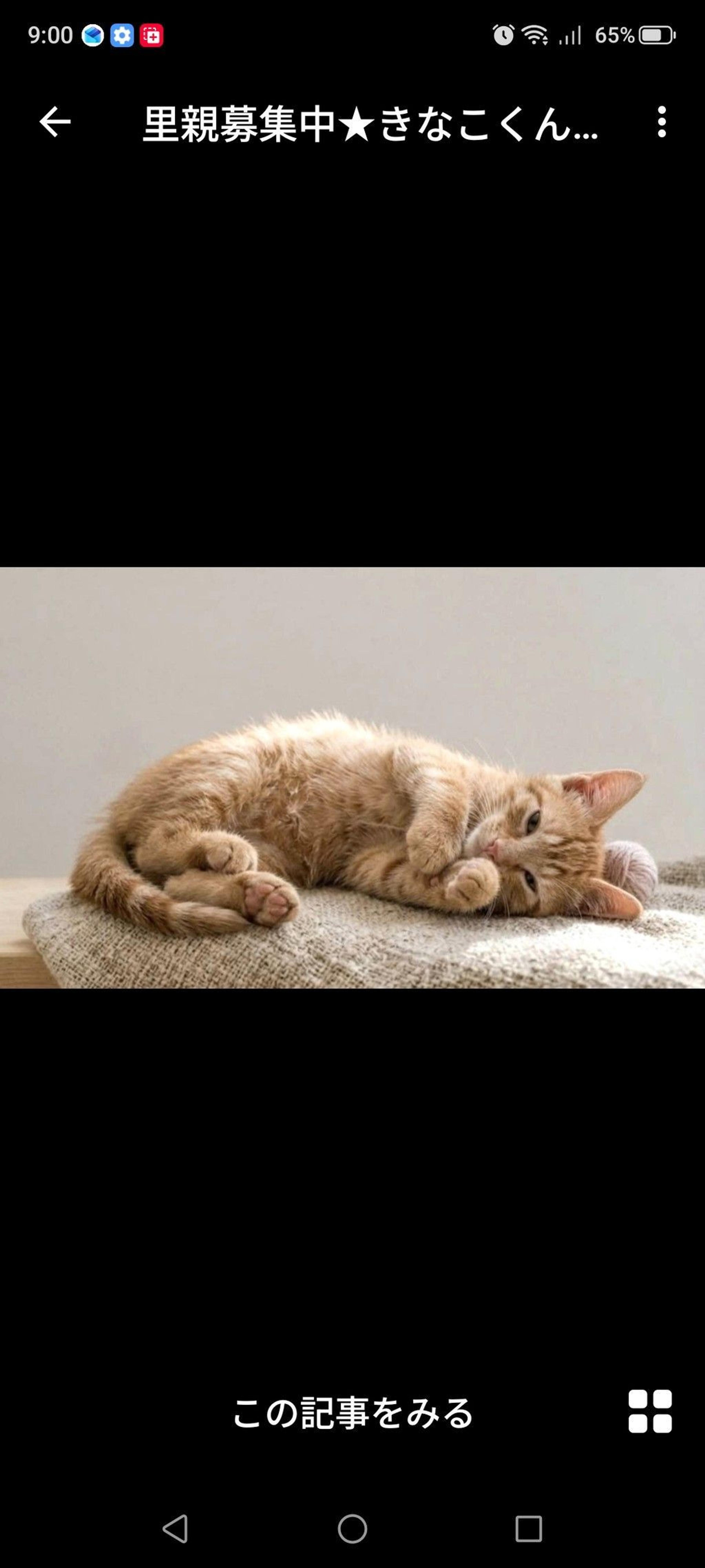 pet-image-3