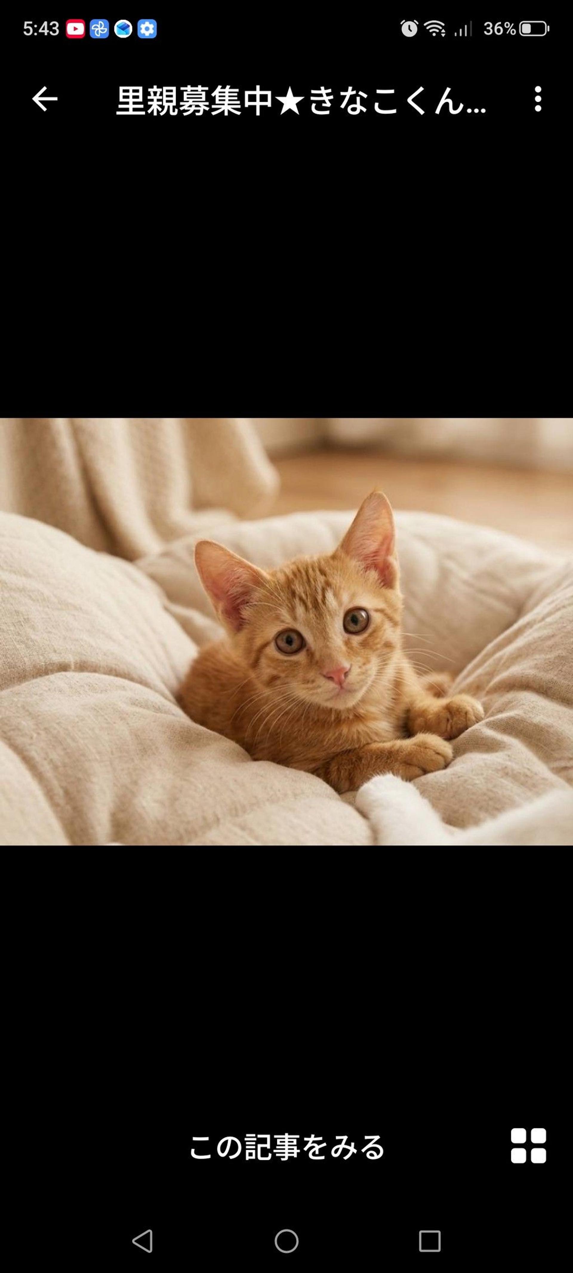 pet-image-2