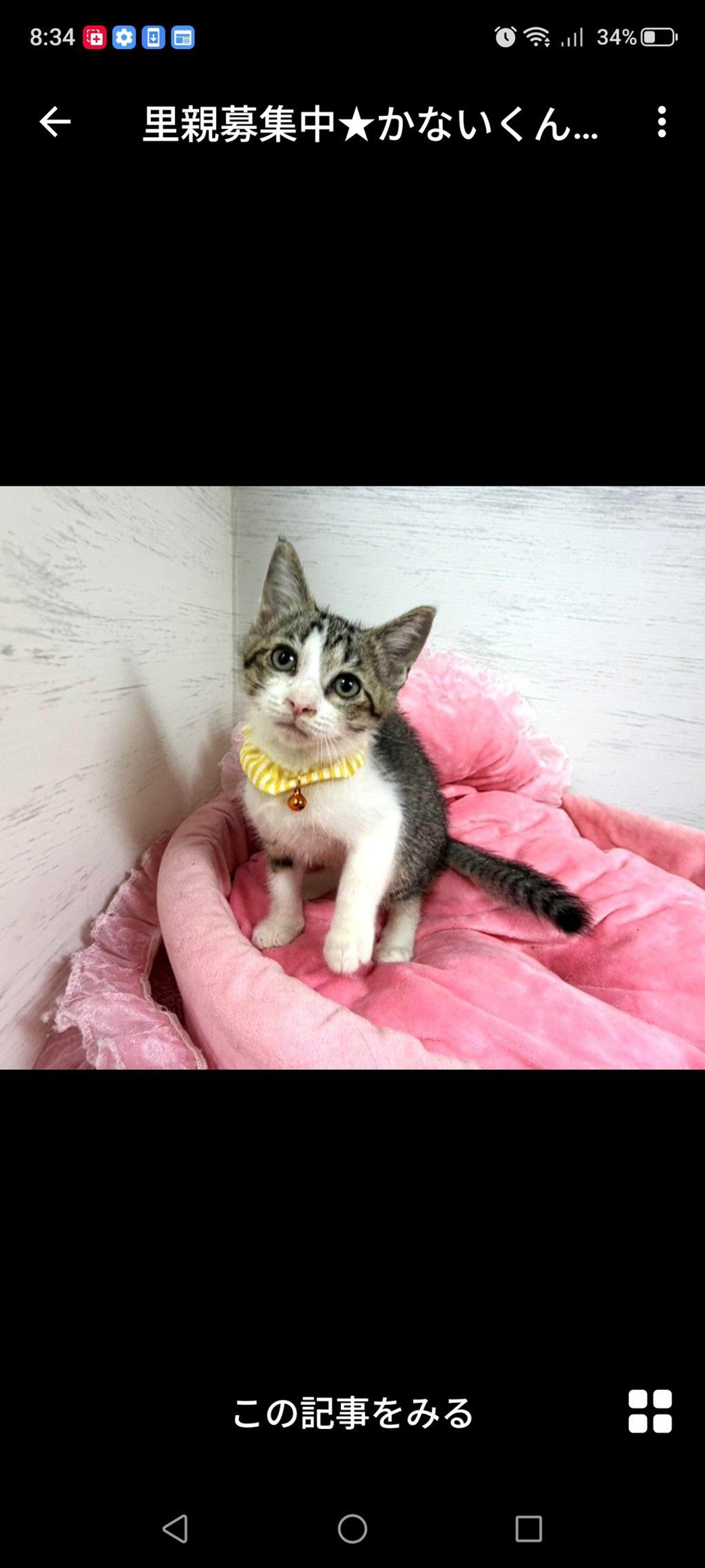 pet-image-3