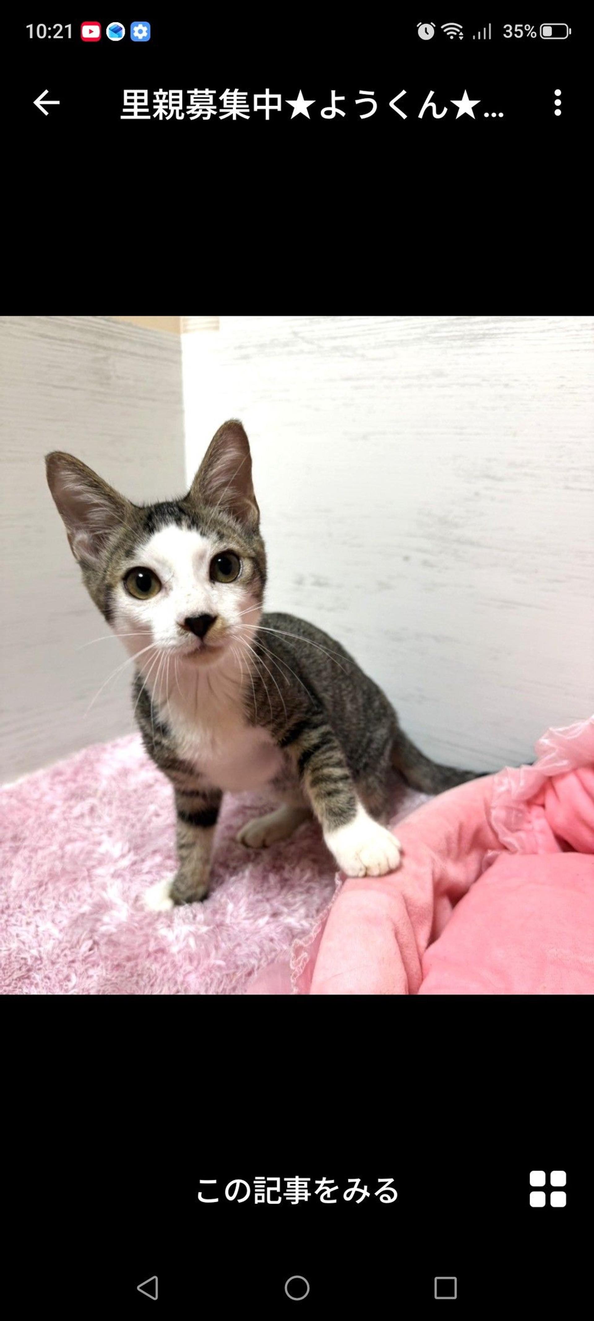 pet-image-2