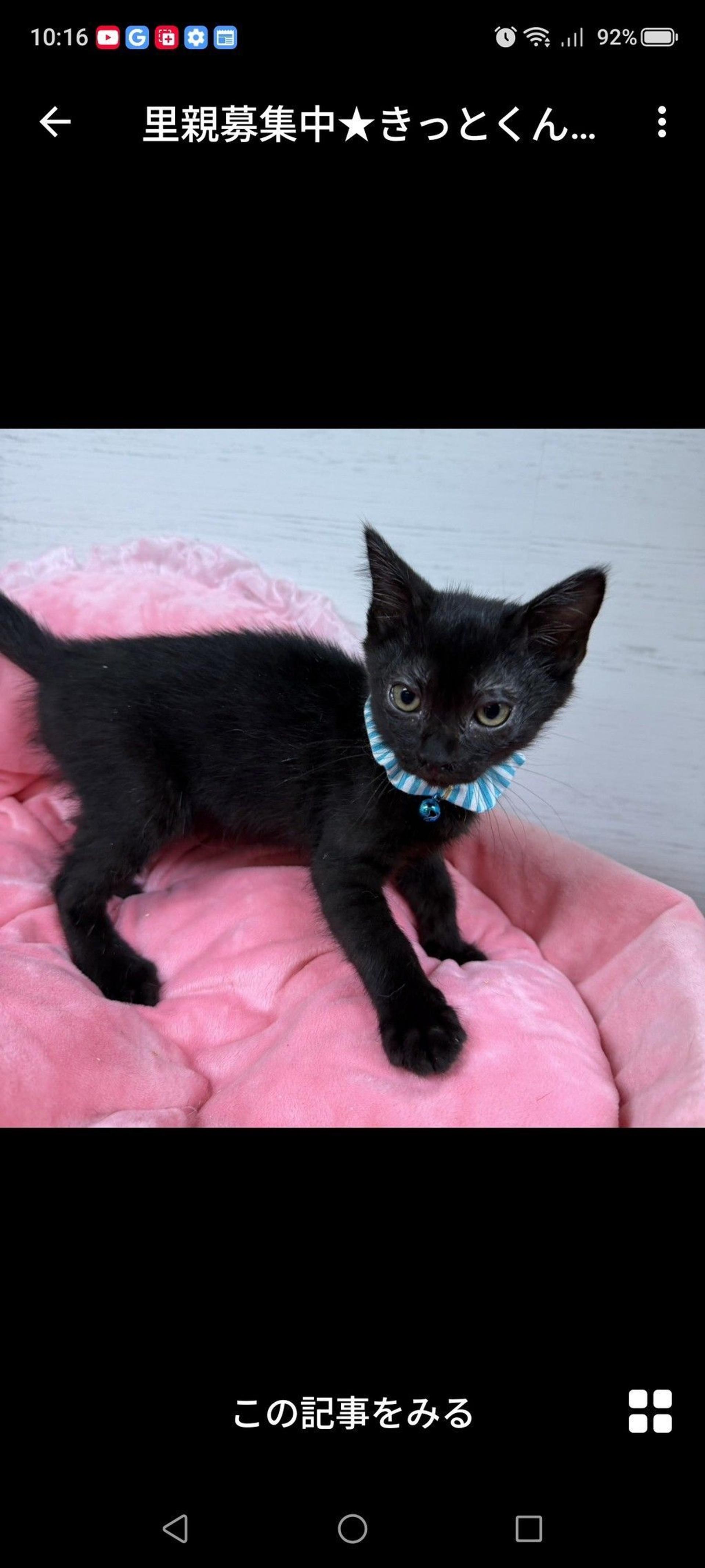 pet-image-2