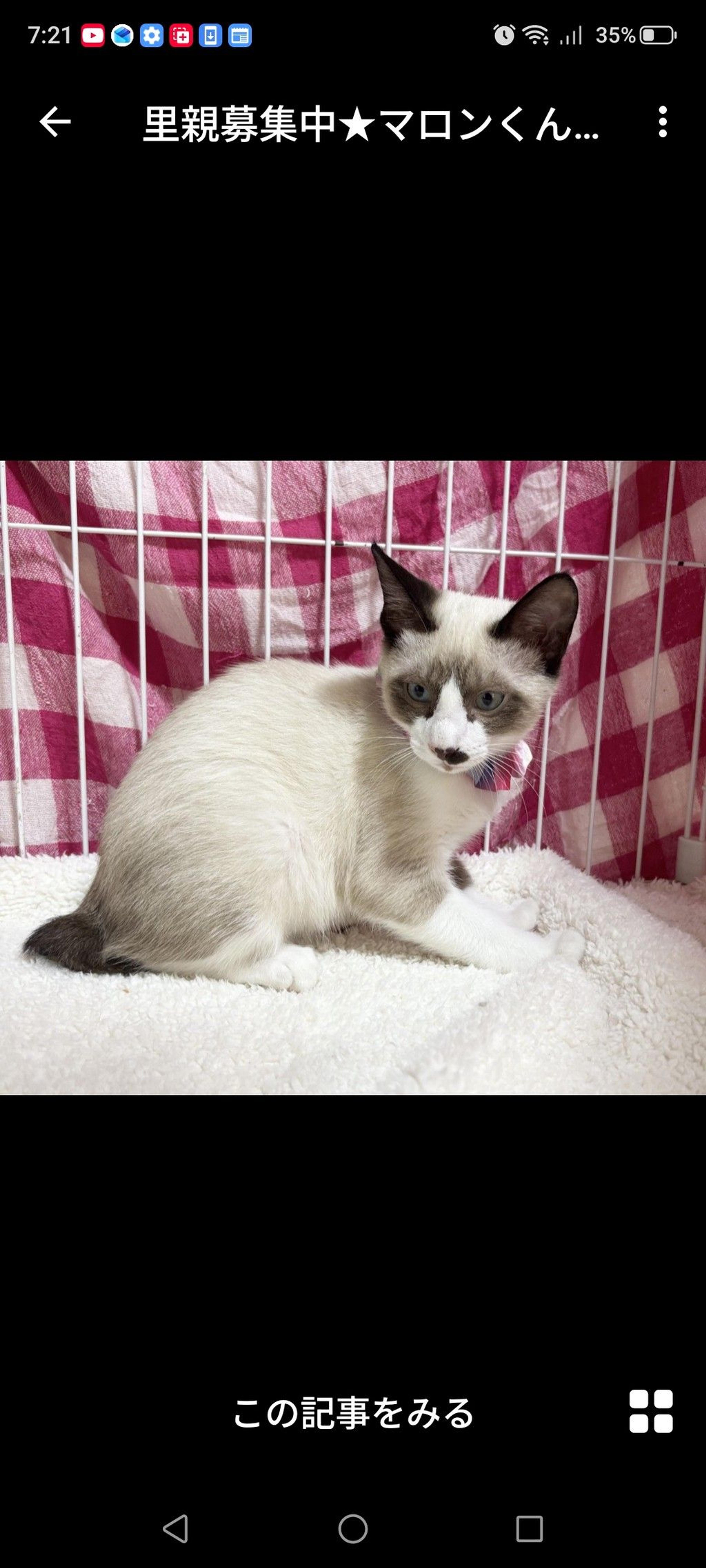 pet-image-3