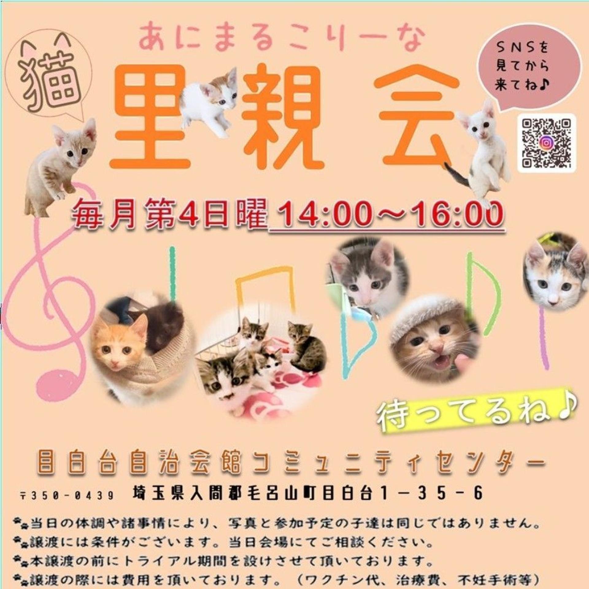 pet-image-4