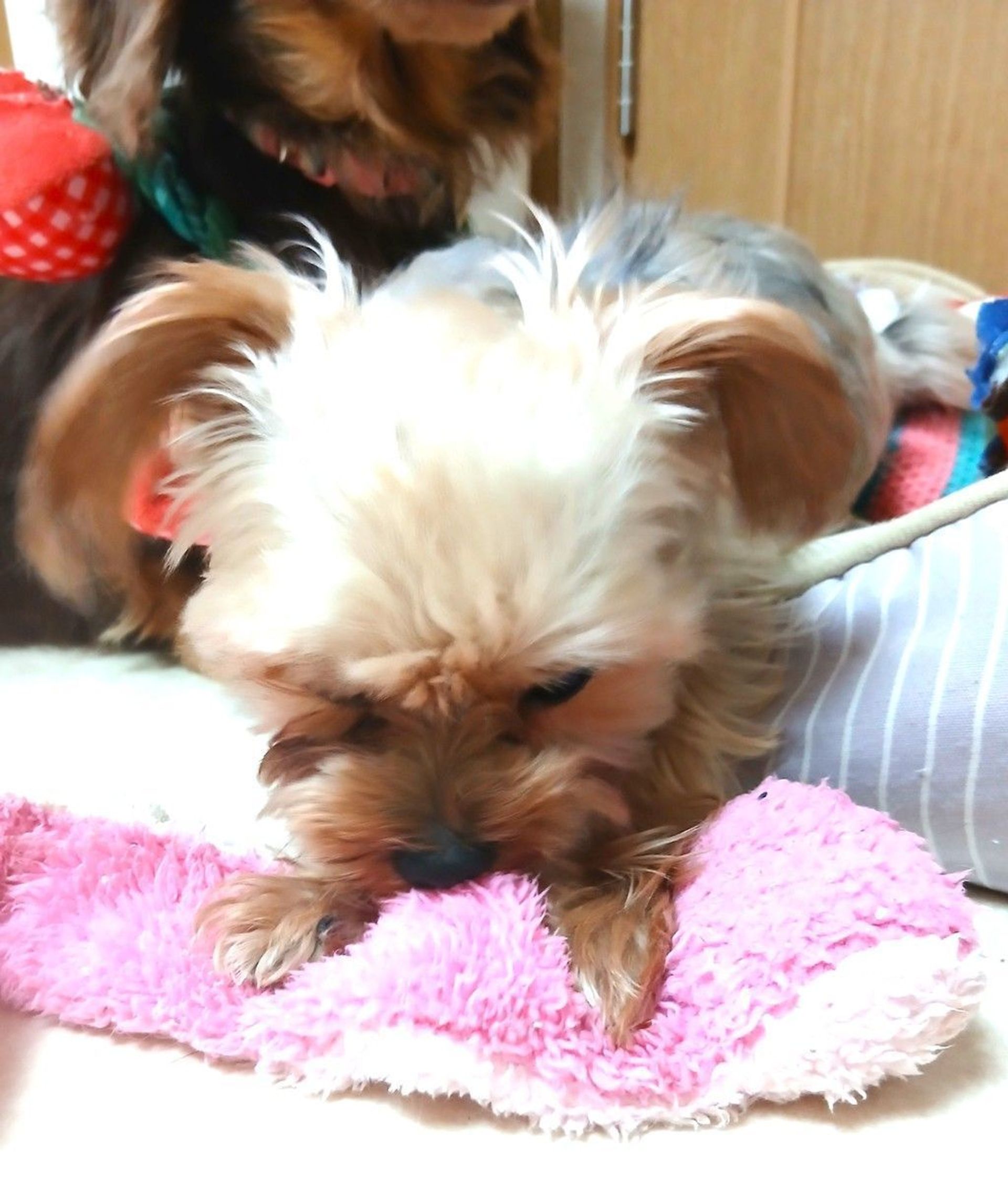 thumbnail-9